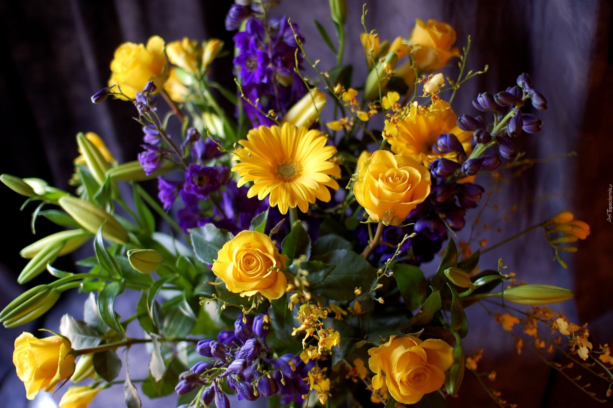 Żółto, Niebieski, Bukiet Kwiatów