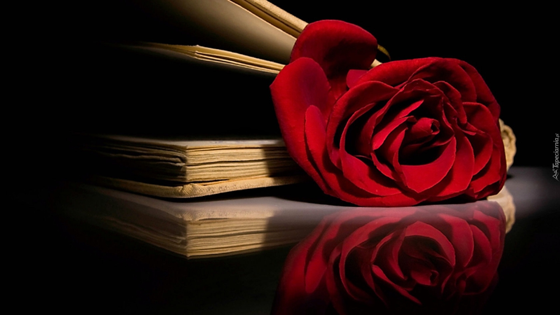 Czerwona, Róża, Książki, Kompozycja