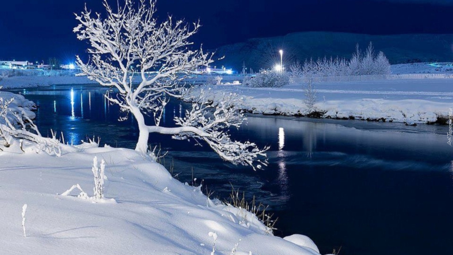 Jezioro, Drzewo, Zimowa, Noc