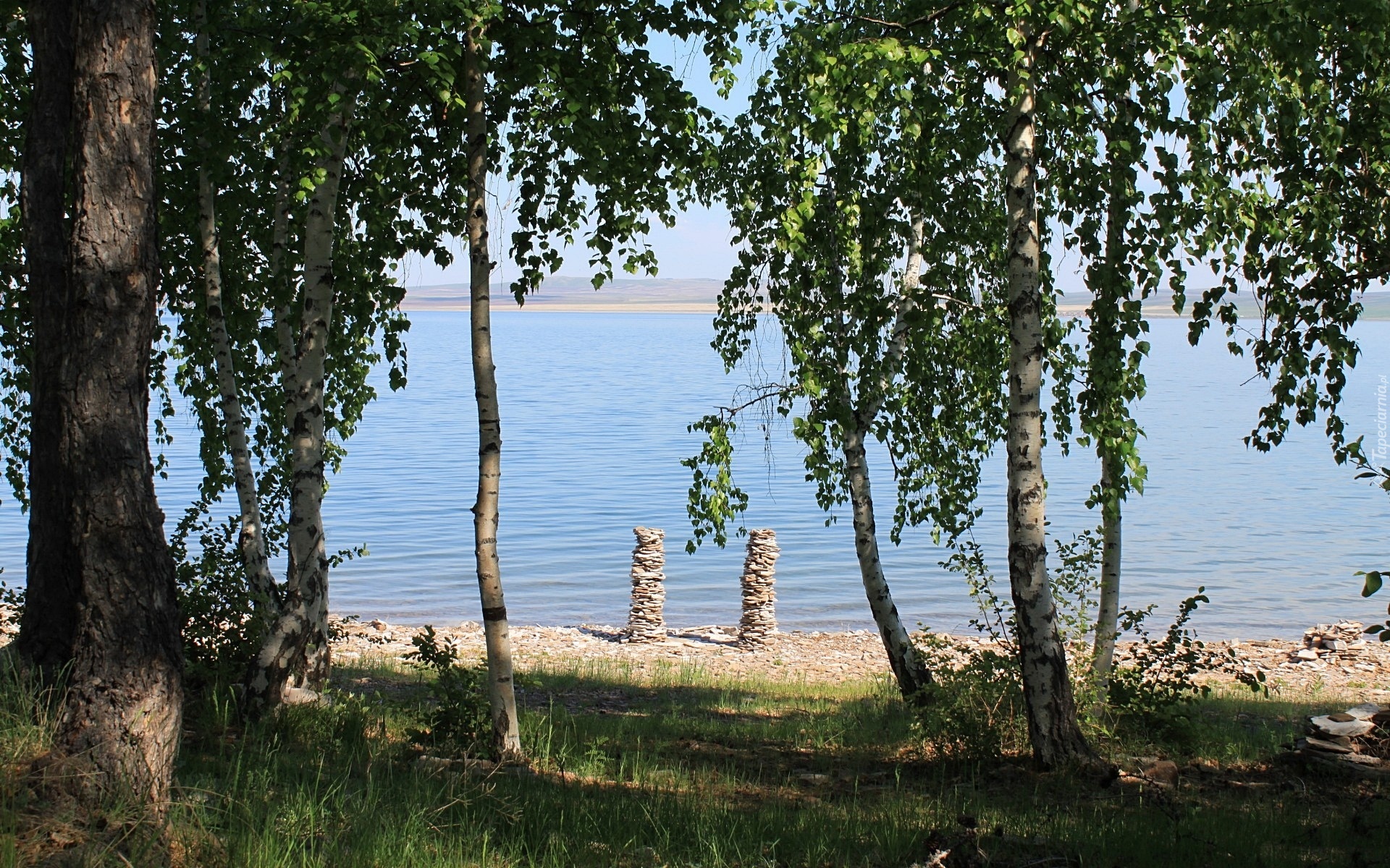 Jezioro, Kamienisty, Brzeg, Drzewa