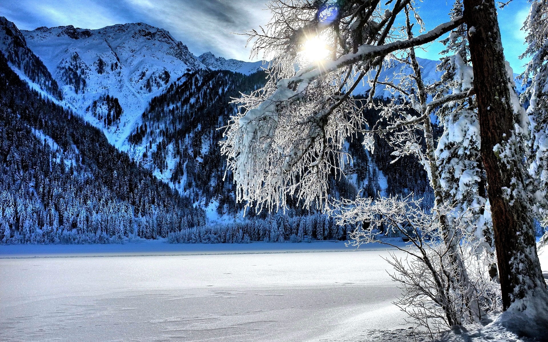Góry, Śnieg, Zima, Drzewo, Przebijające Światło