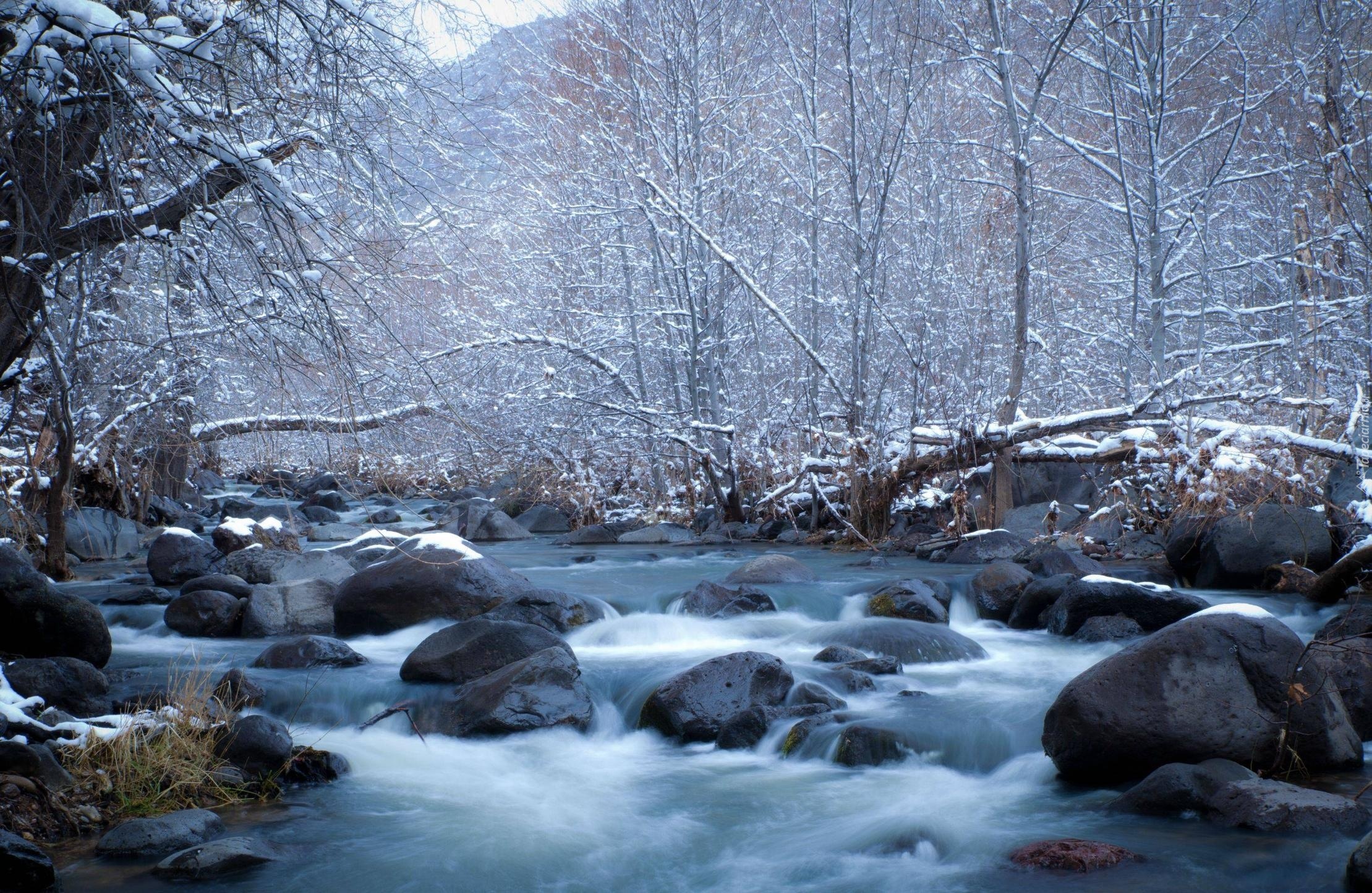 Rzeka, Kamienie, Drzewa, Zima
