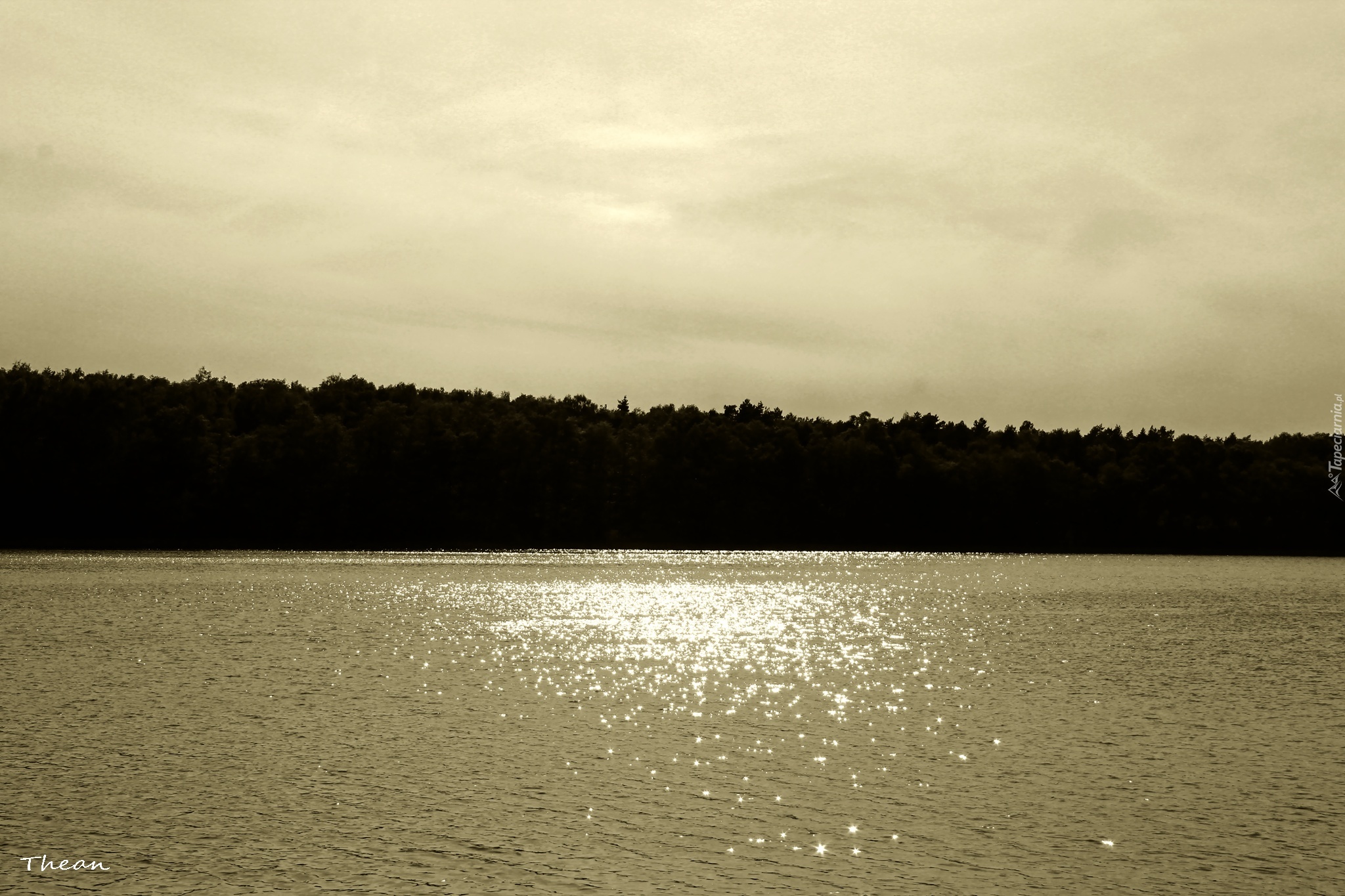 Jezioro, Drzewa, Czarno Biały