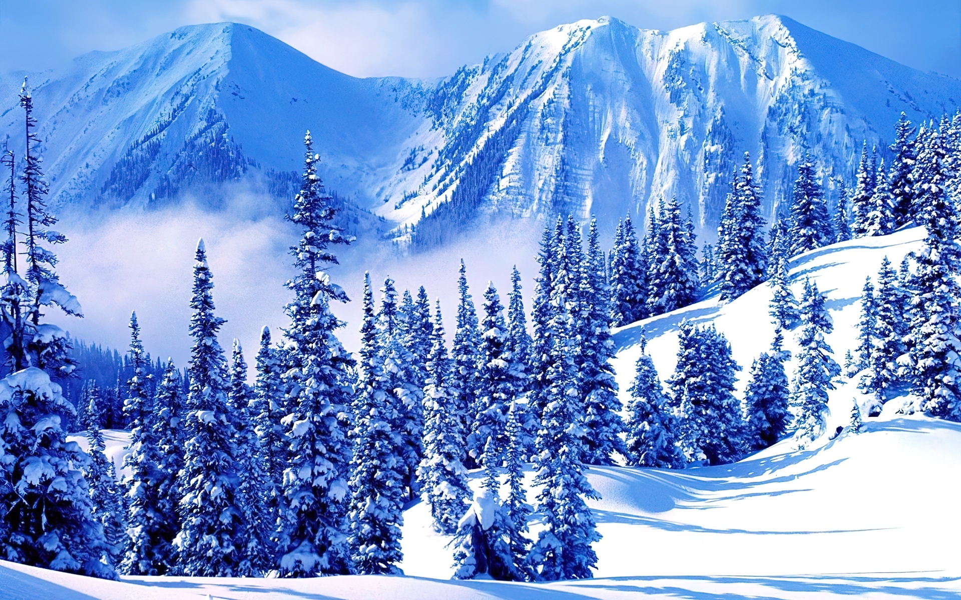 Zima, Góry, Ośnieżone, Drzewa