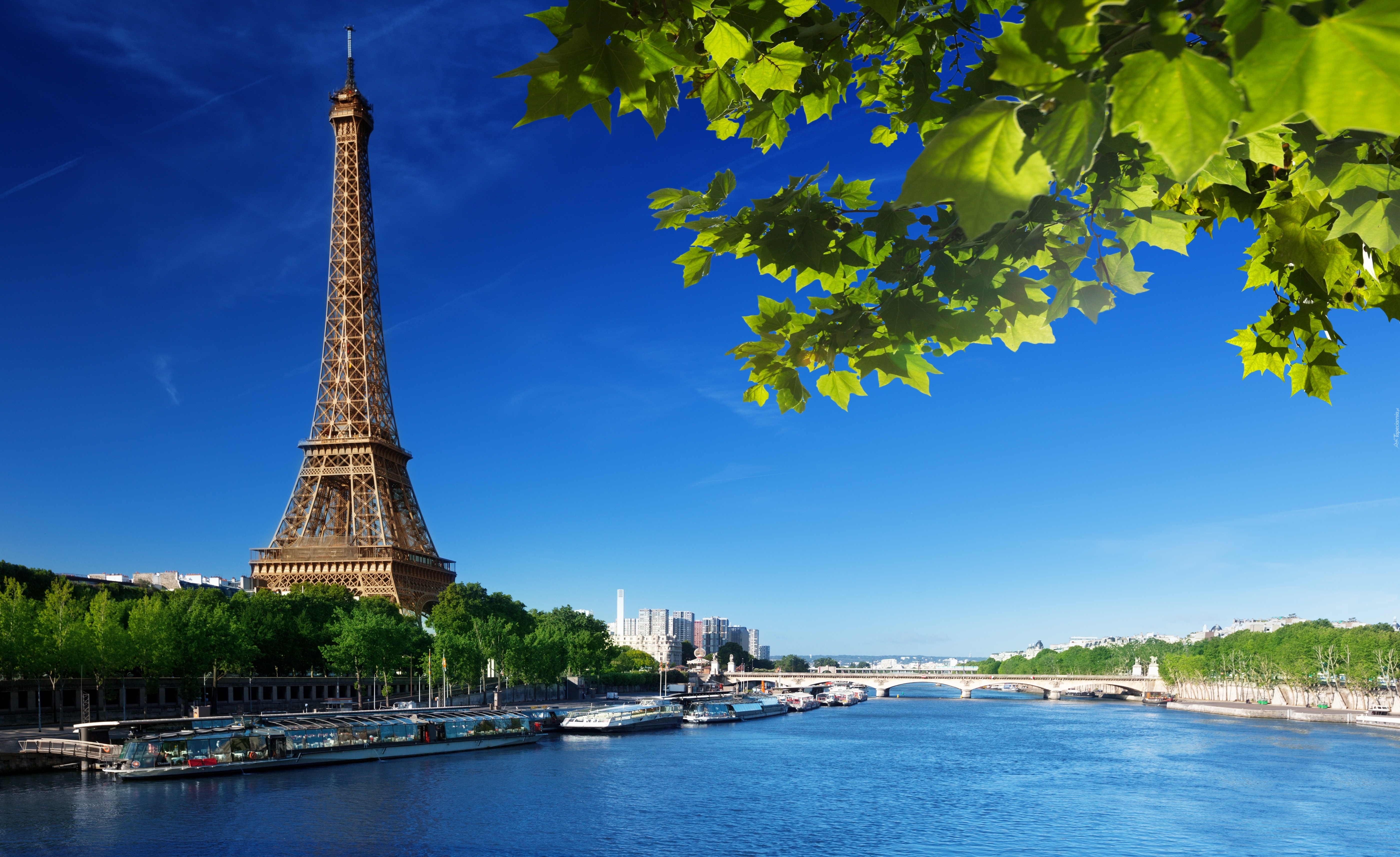 Wieża, Eiffela, Paryż