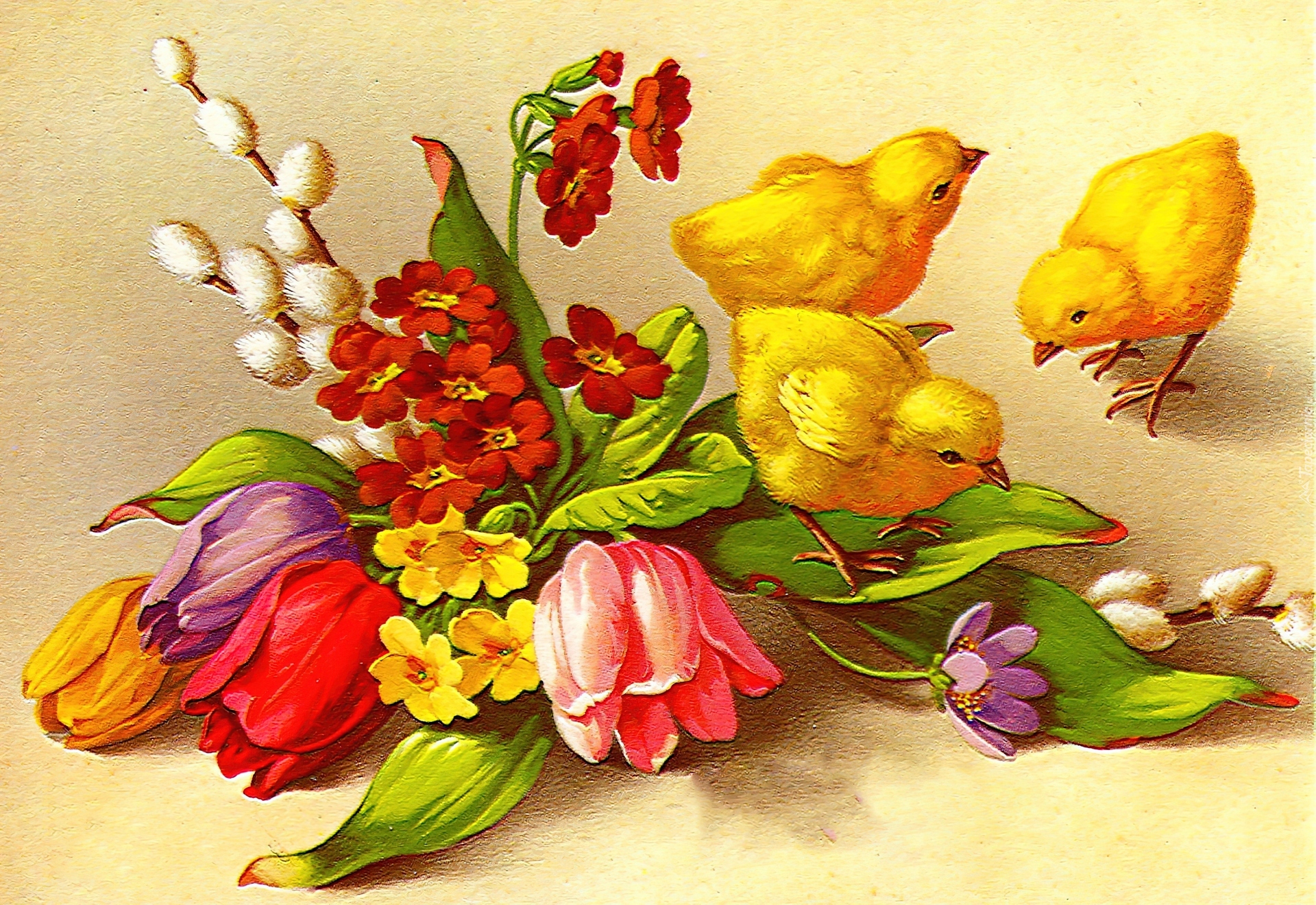 Wielkanoc, Kurczaczki, Kwiaty
