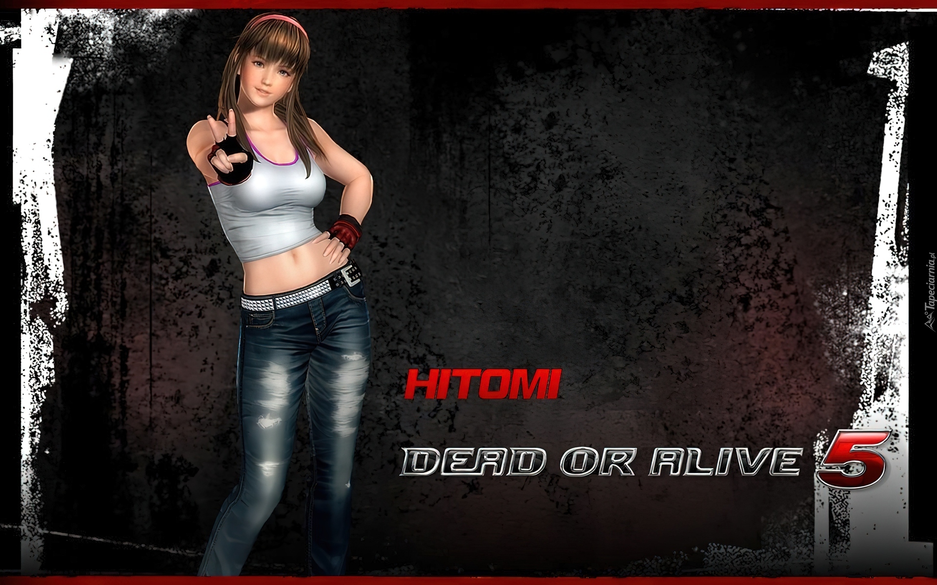Dead Or Alive 5, Hitomi