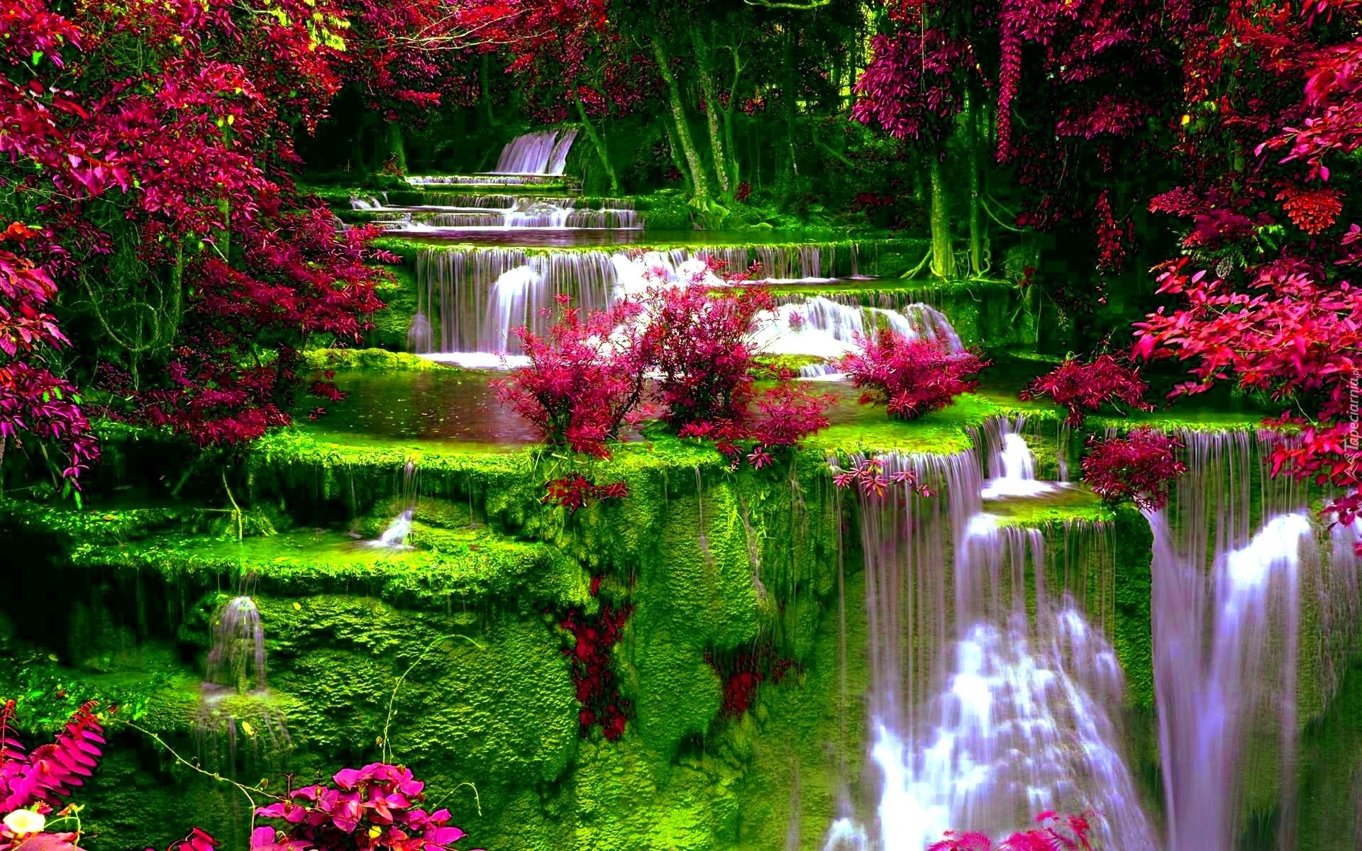 Wodospad, Kwiaty, Roślinność