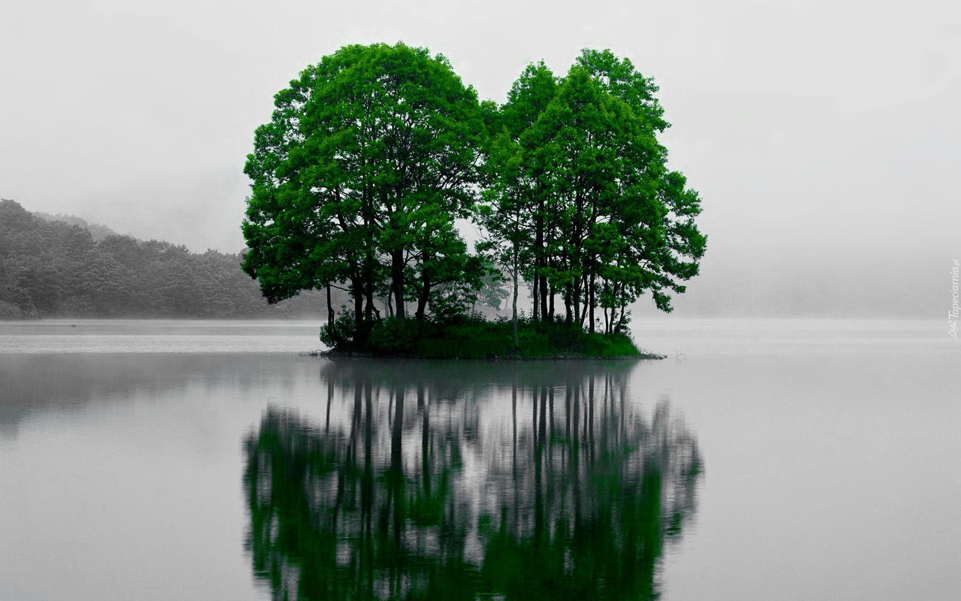 Jezioro, Wysepka, Drzewa, Sohara, Japonia