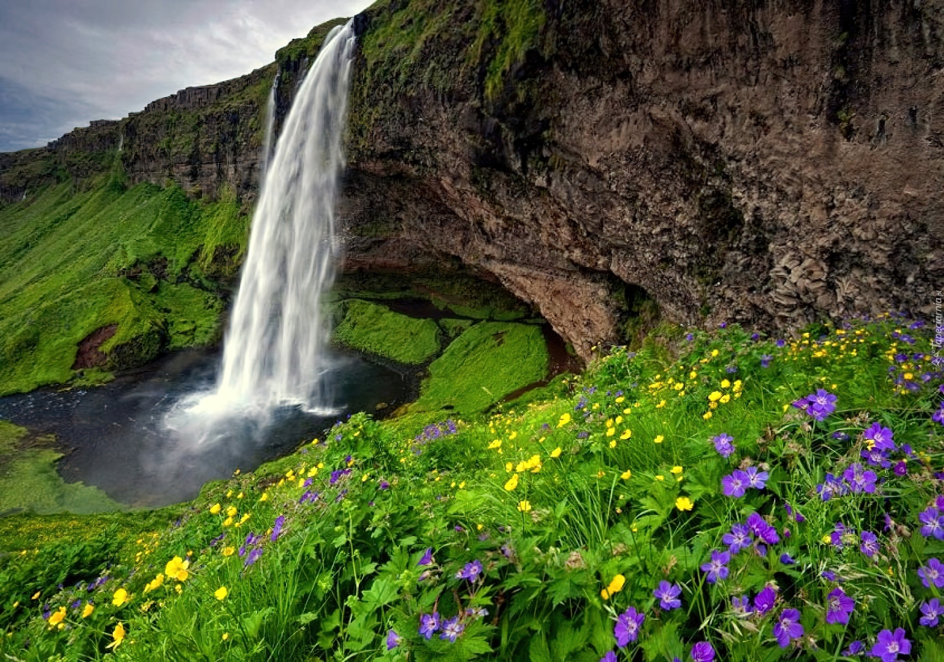 Wodospad, Skały, Kwiatki