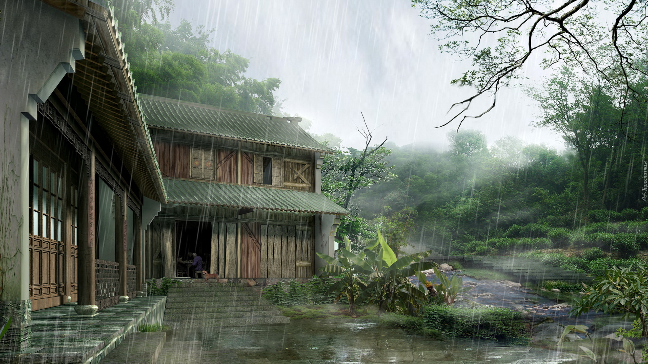 Dom, Drzewa, Deszcz
