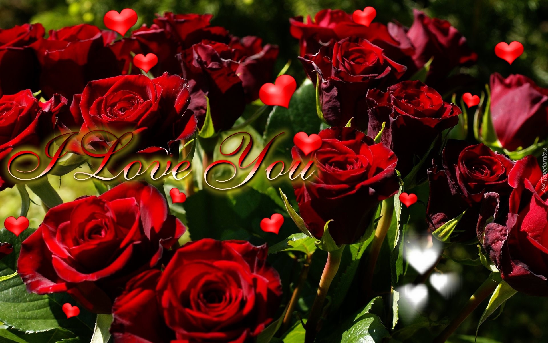 Czerwone, Róże, Napis, Miłośc