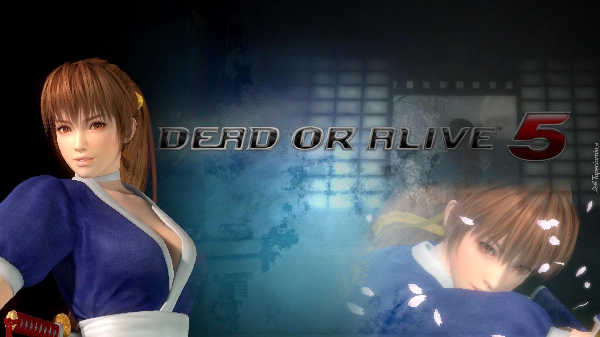 Dead Or Alive 5, Kasumi