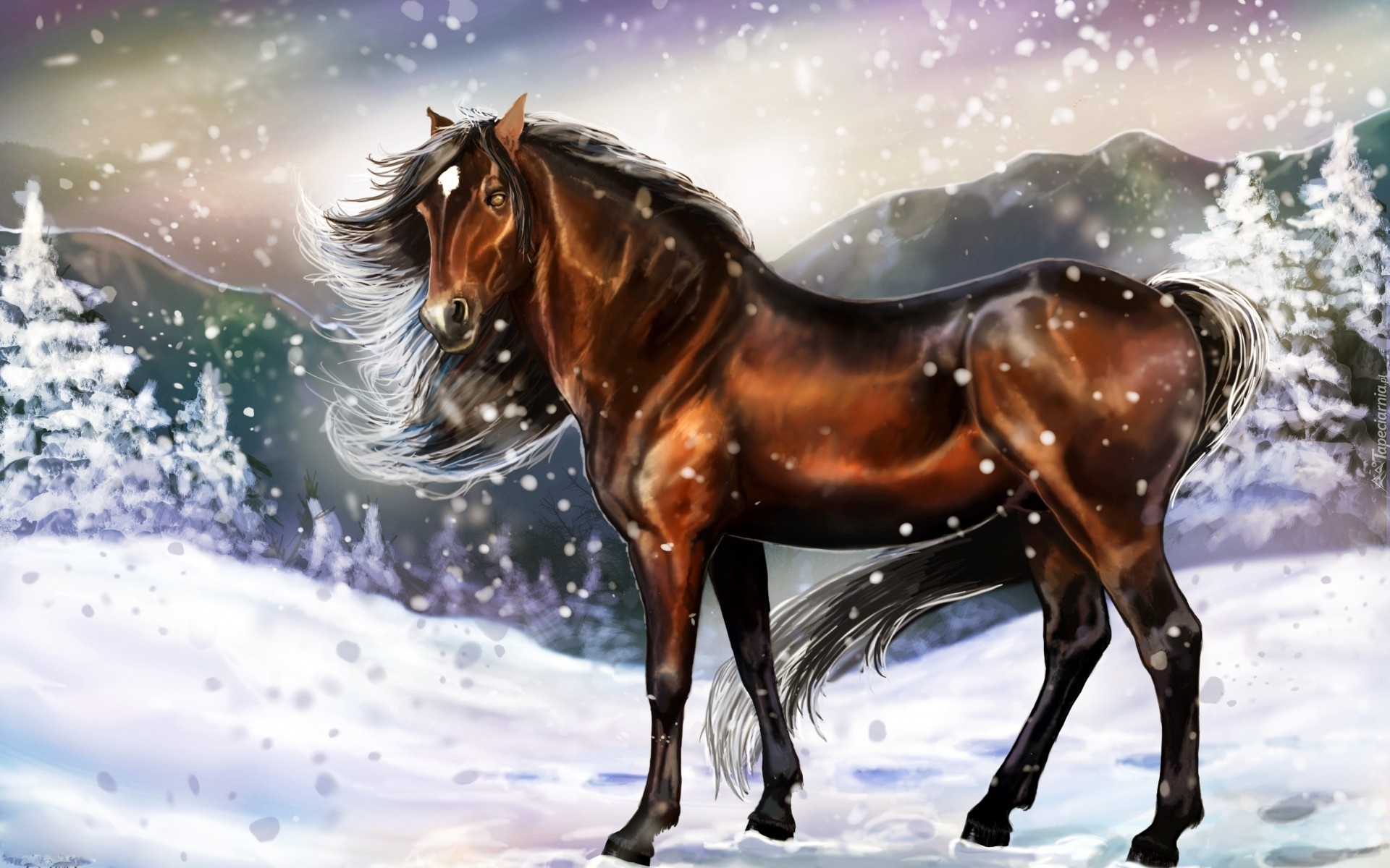 Obraz, Koń, Zima