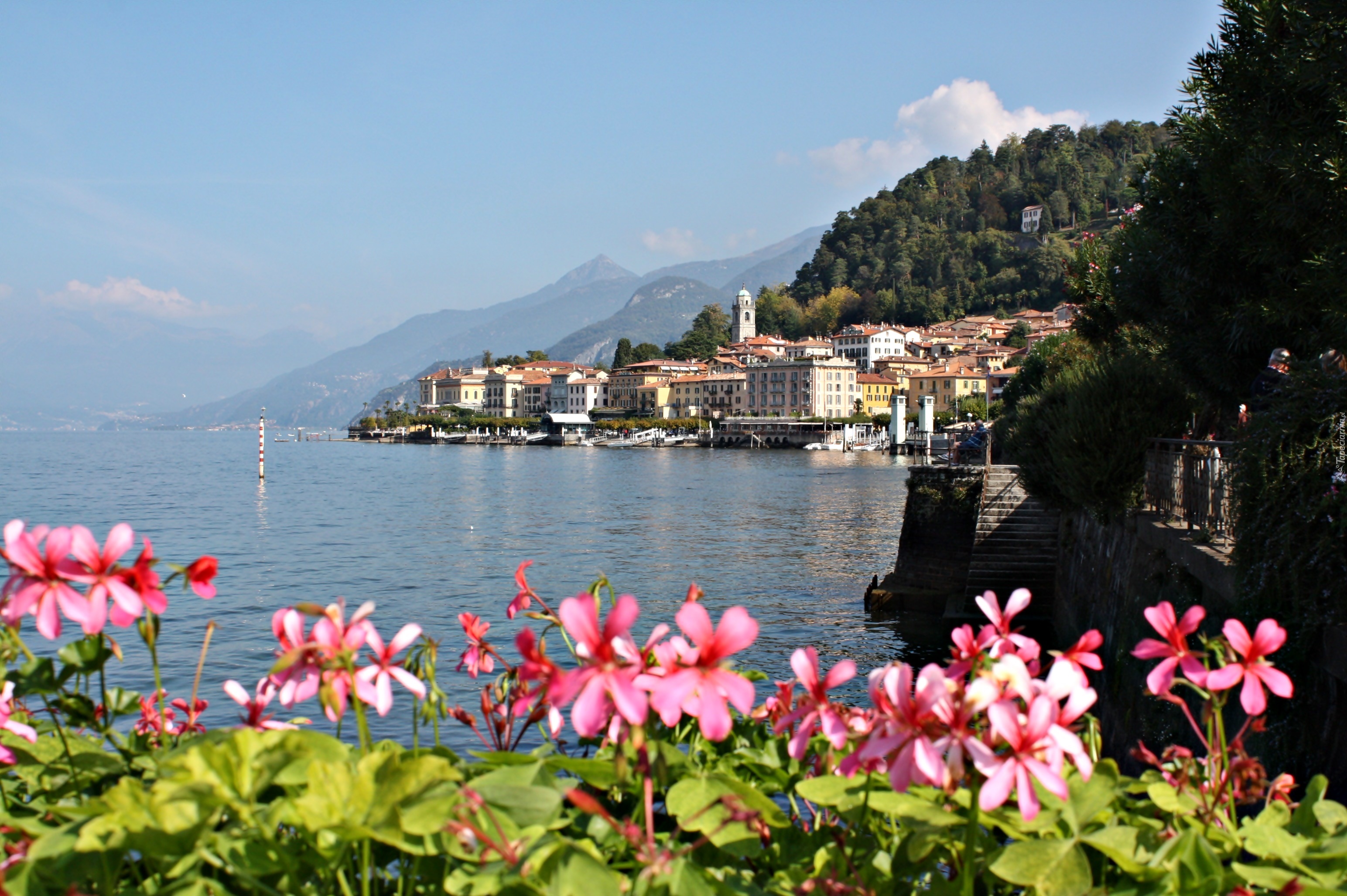 Jezioro, Como, Kwiatki, Bellagio, Włochy