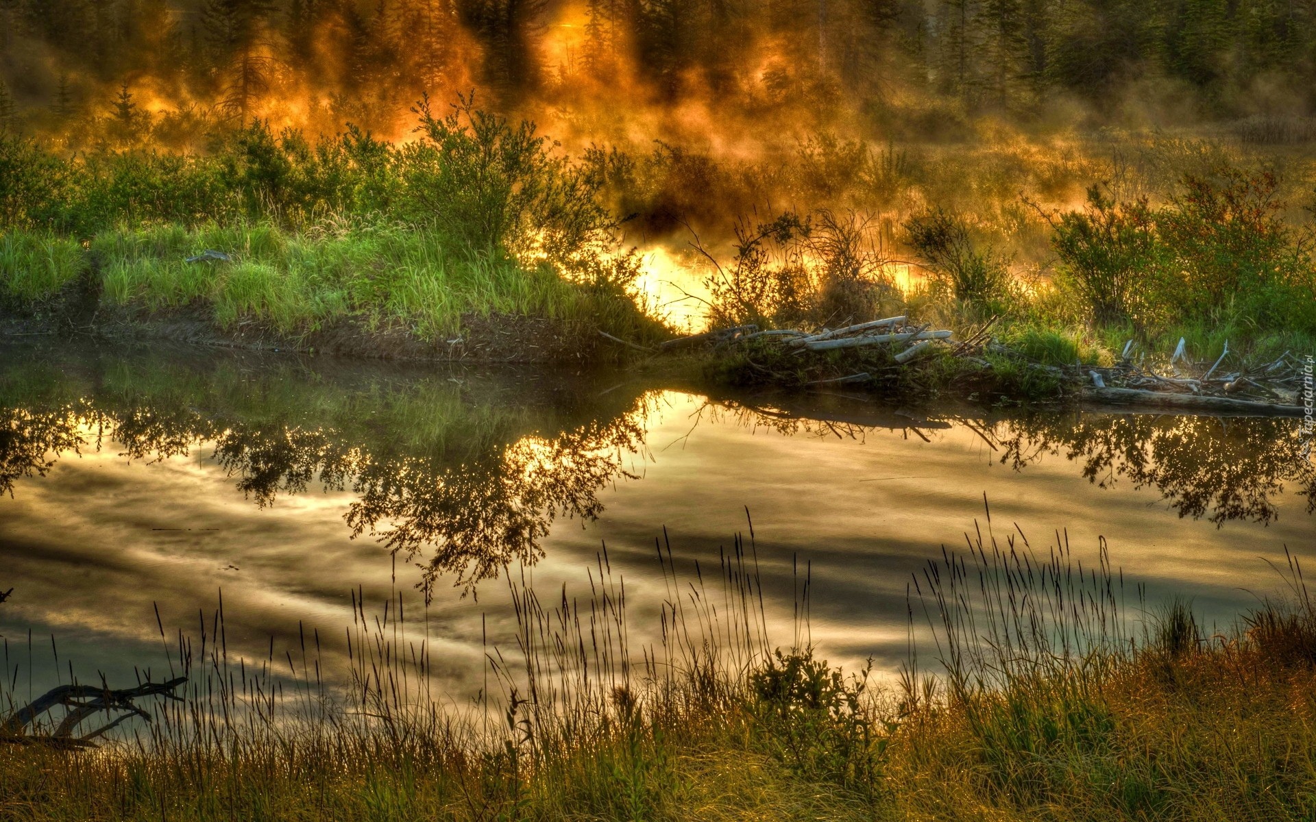 Las, Rzeka, Ogień
