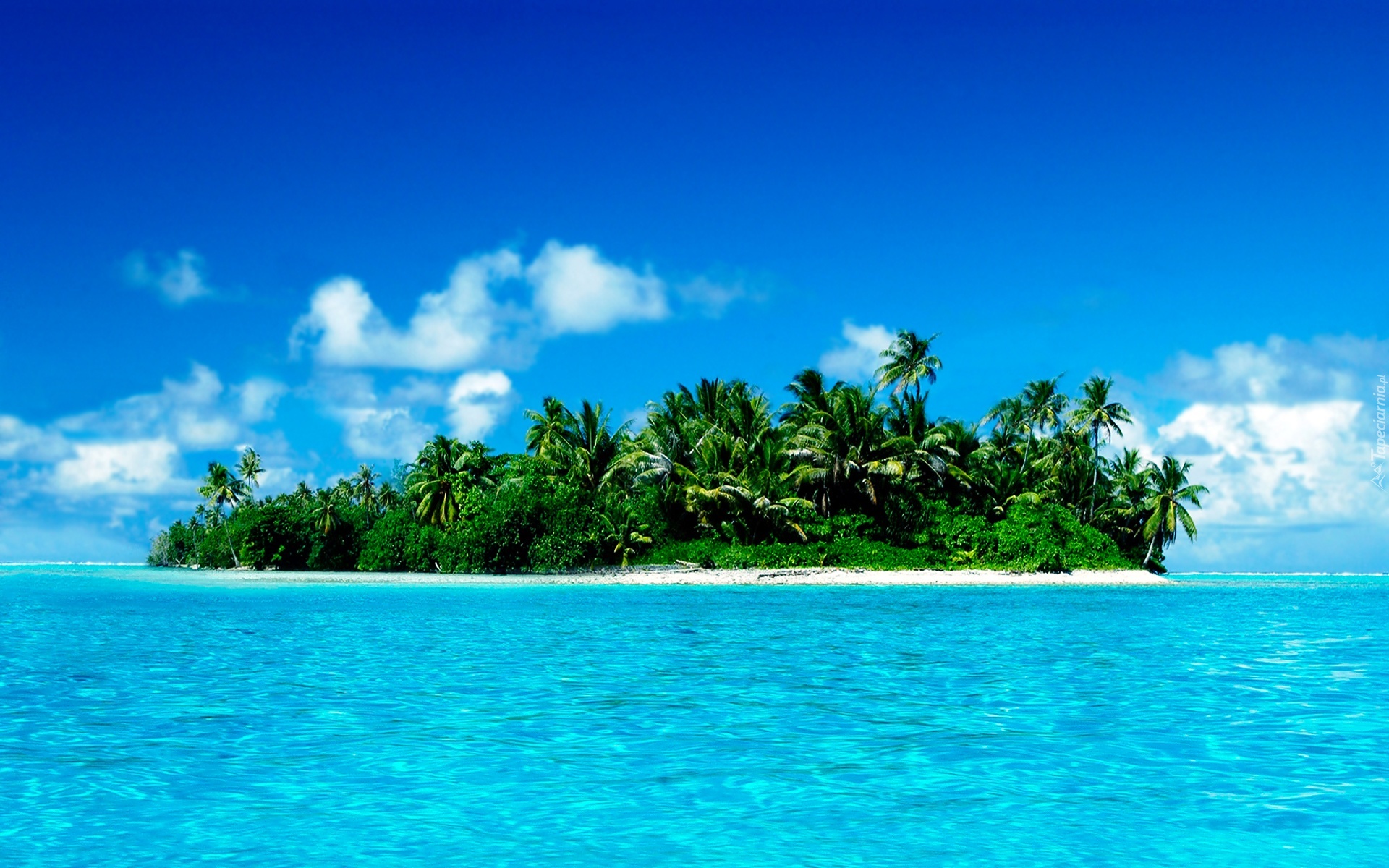 Morze, Wyspa, Palmy, Malediwy