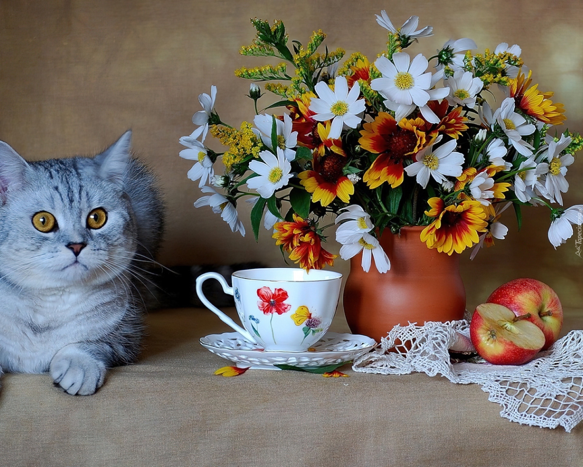 Kot, Kwiaty, Wazon, Filiżanka, Jabłko