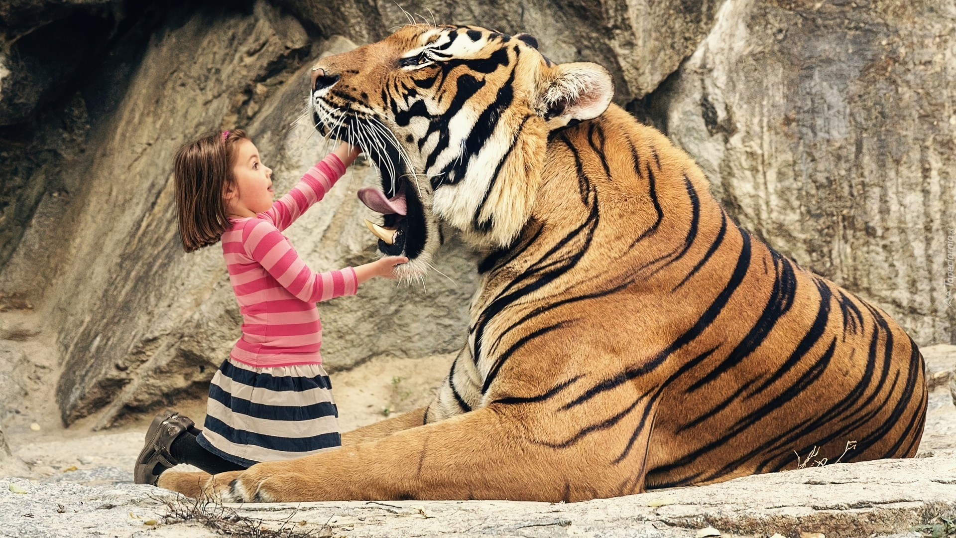 Tygrys, Dziewczynka