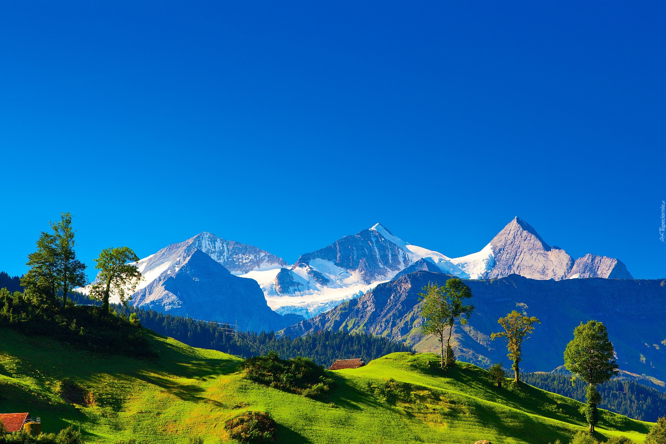 Góry Alpy, Szwajcaria, Krajobraz