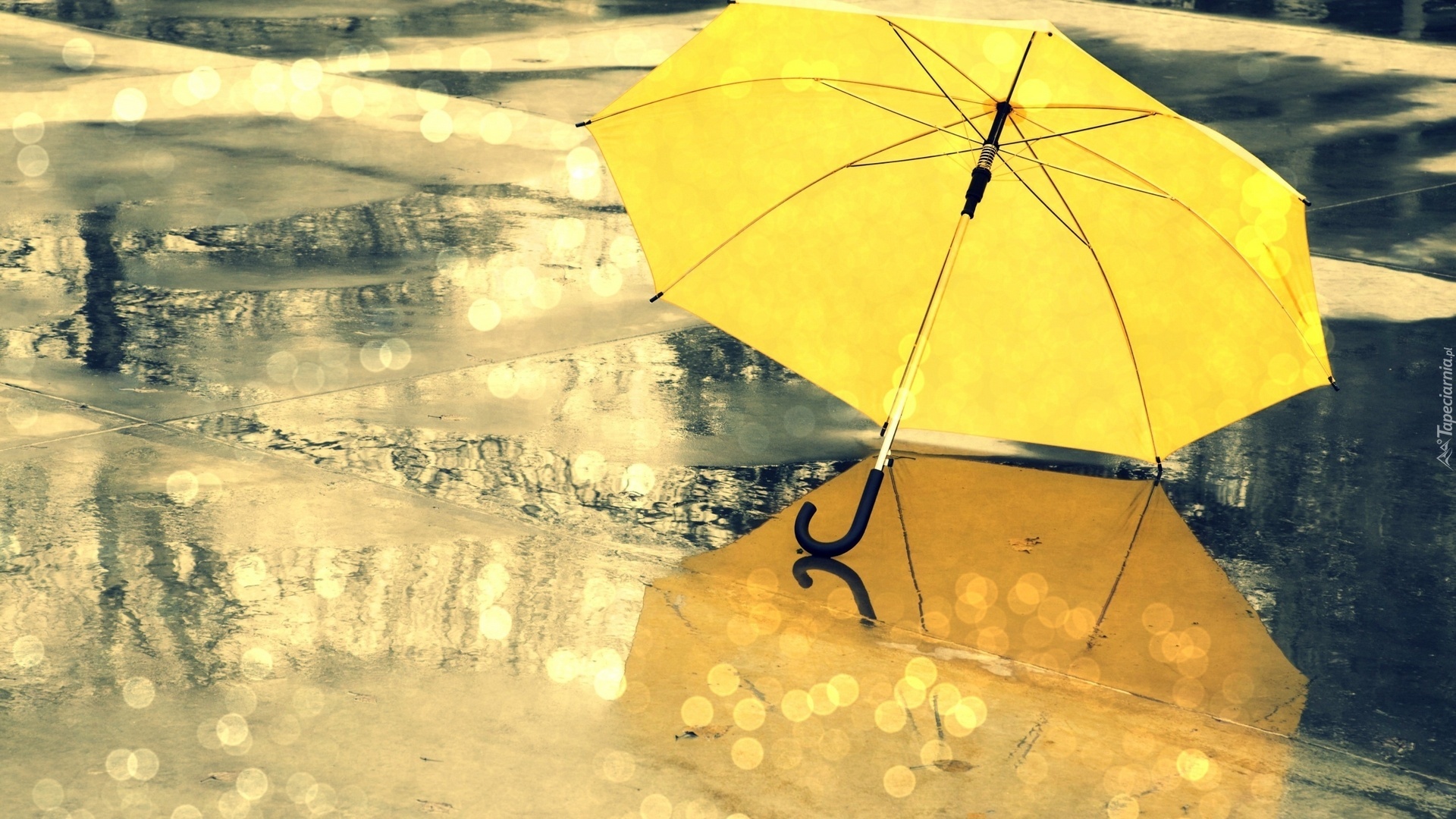 Deszcz, Żółta, Parasolka