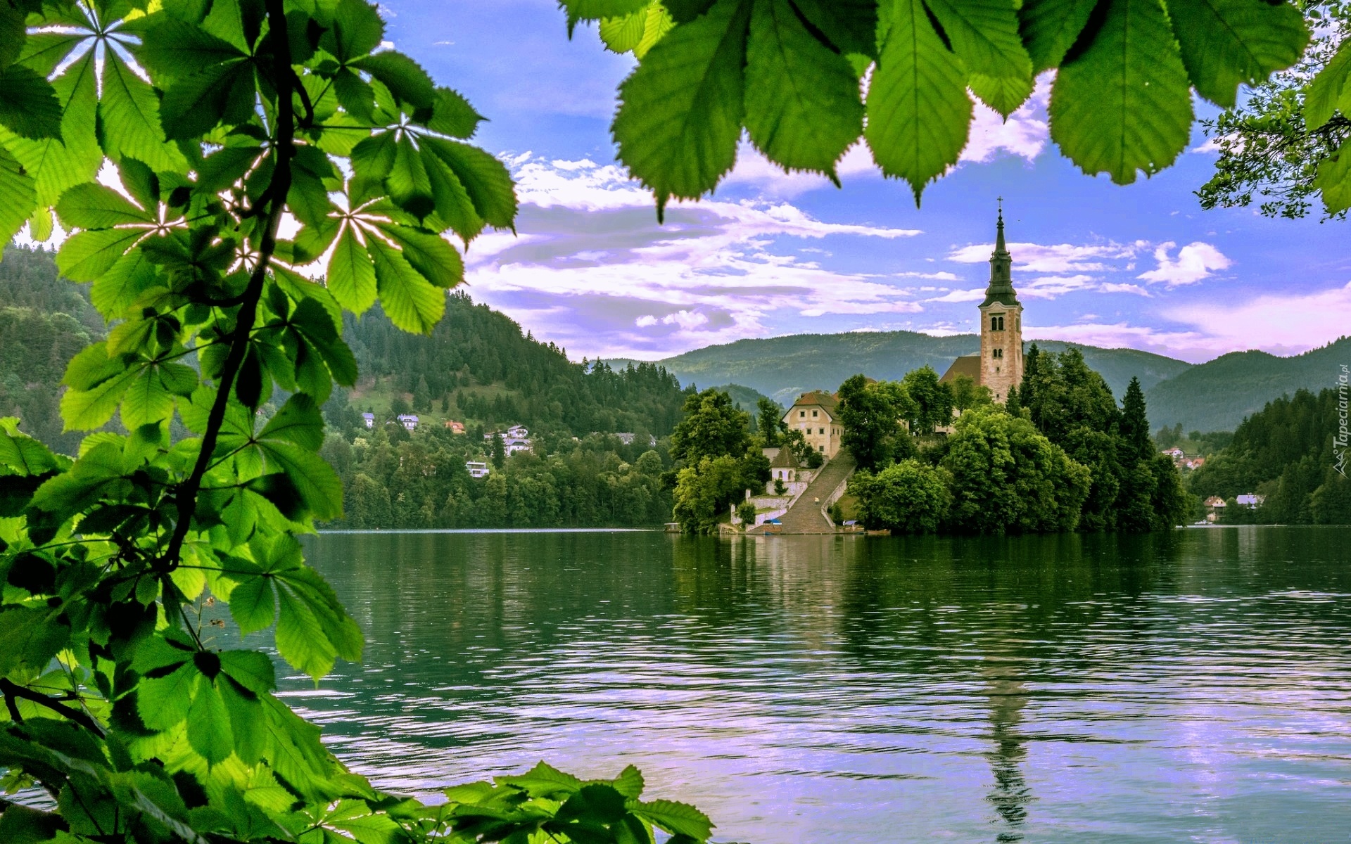 Bled, Kościół, Jezioro, Kasztan
