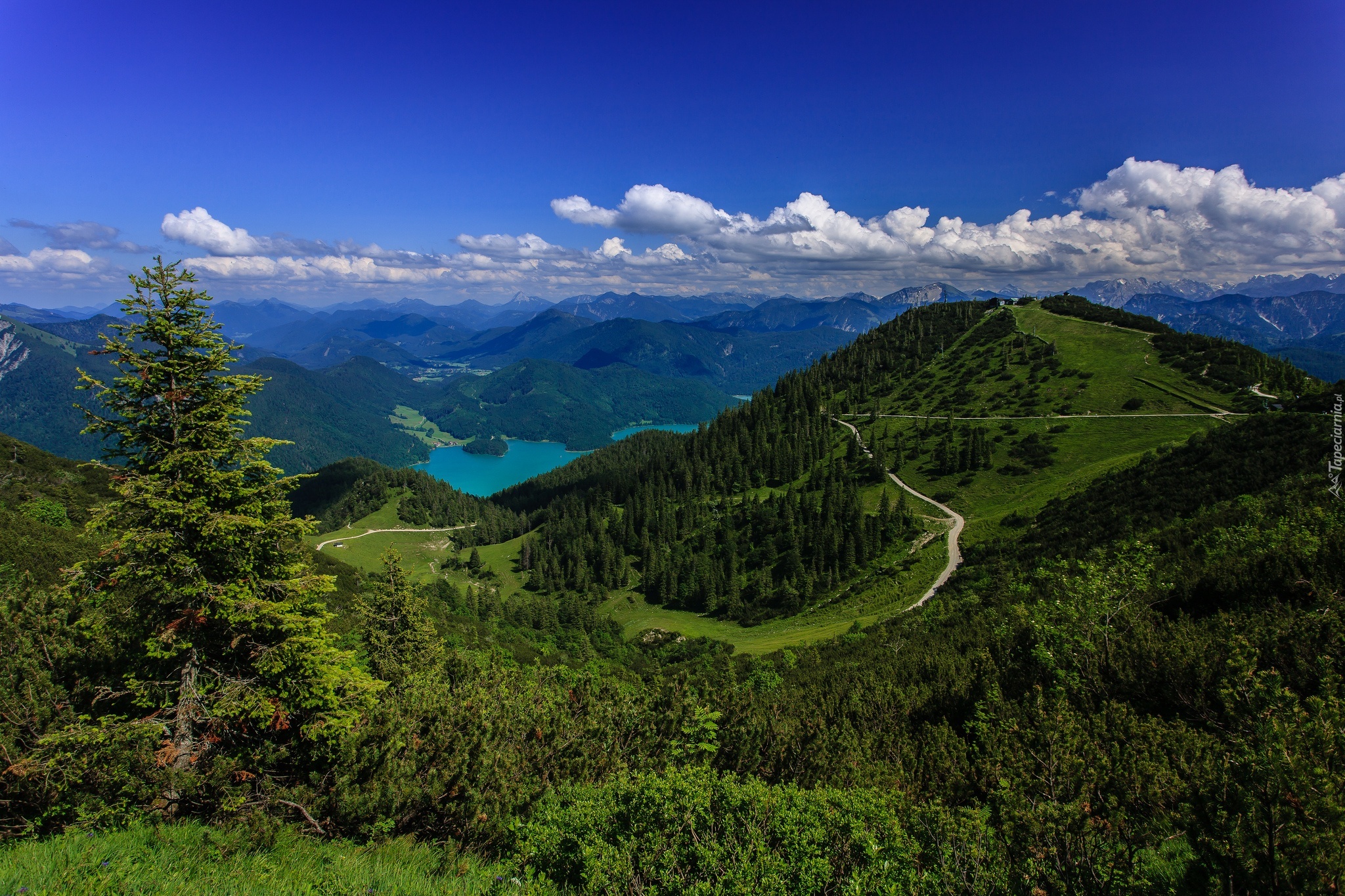 Alpy Bawarskie, Niemcy, Jezioro, Las, Panorama