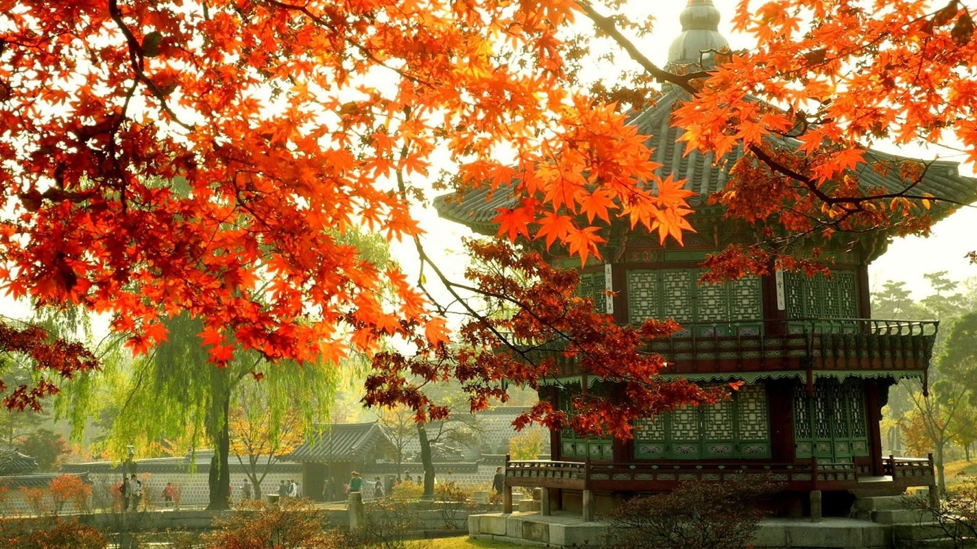 Pałacyk, Gałęzie, Jesień, Seul, Korea