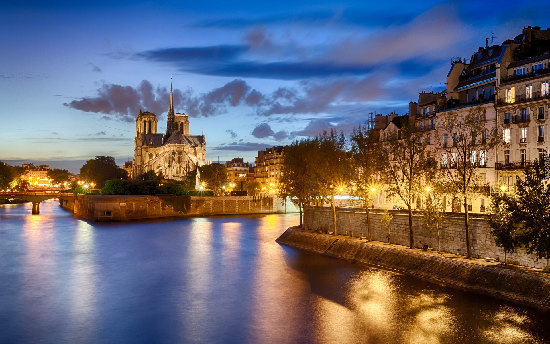Notre, Dame, Paryż, Rzeka, Most, Domy, Noc