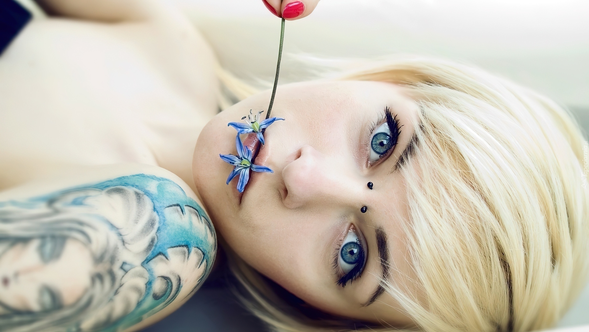 Kobieta, Blondynka, Kwiatek, Tatuaż, Kolczyki, Piercing