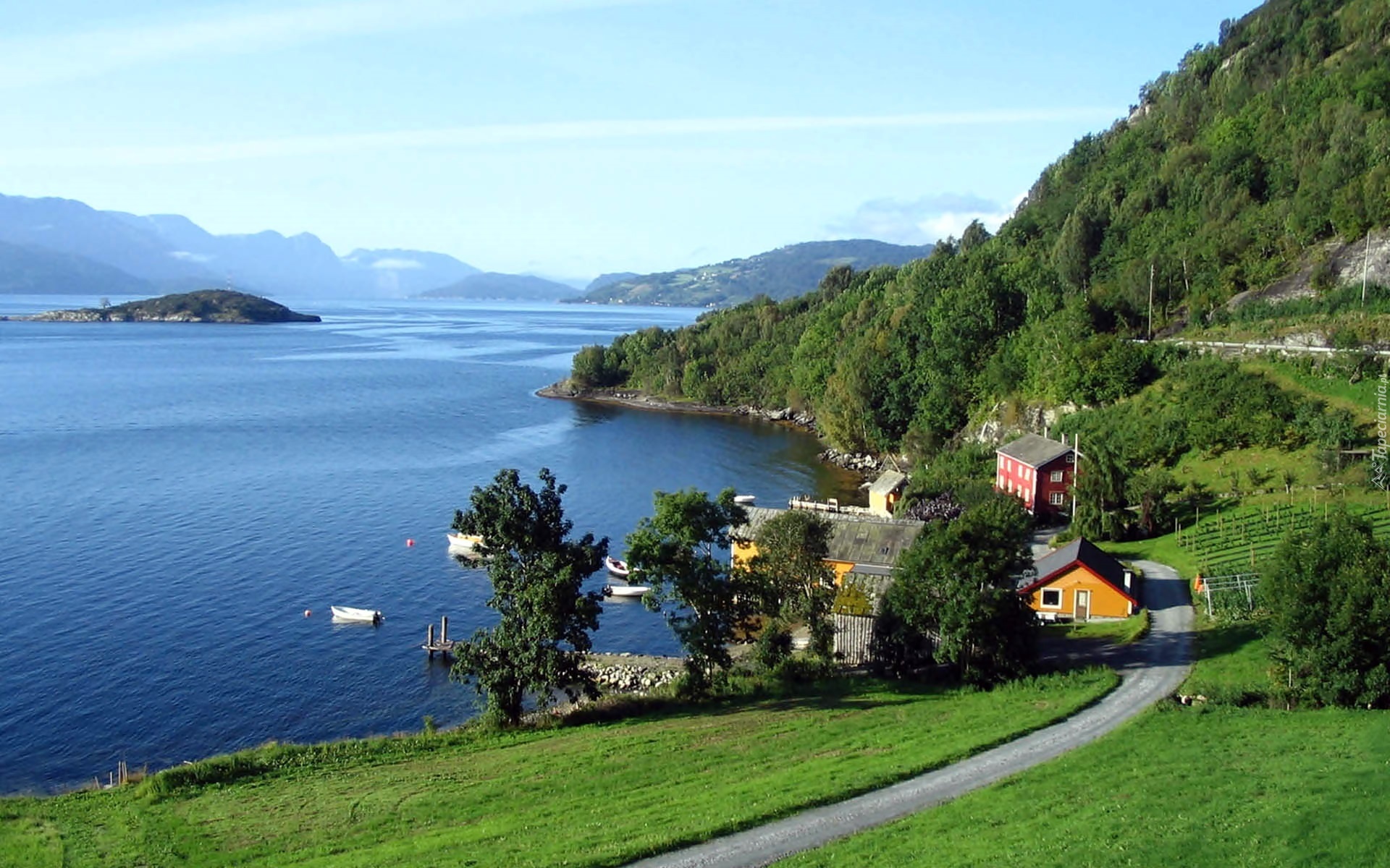 Hardangerfjord, Domy, Droga, Zalesione, Wzgórza