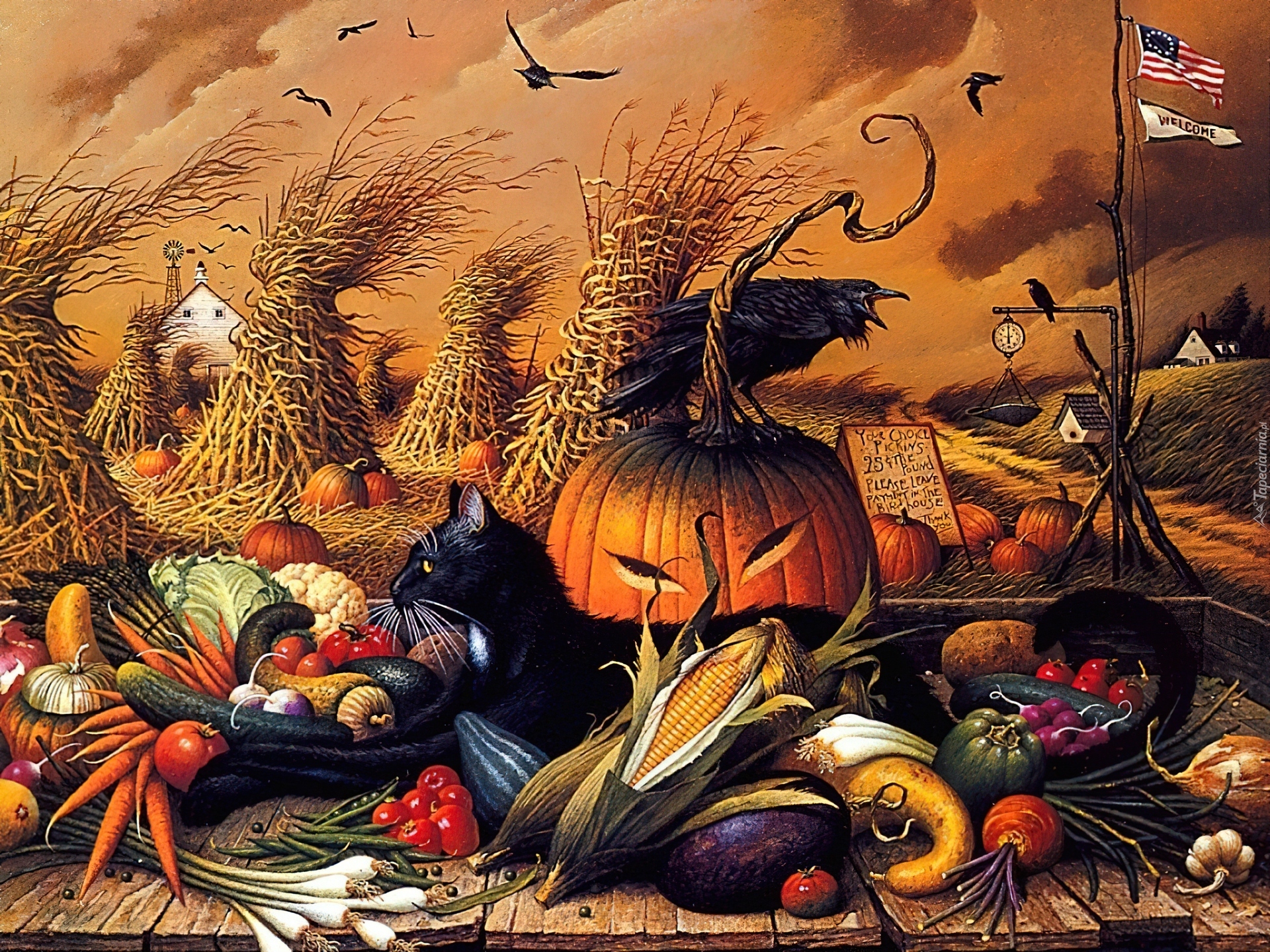 Halloween,kotek, USA , warzywa