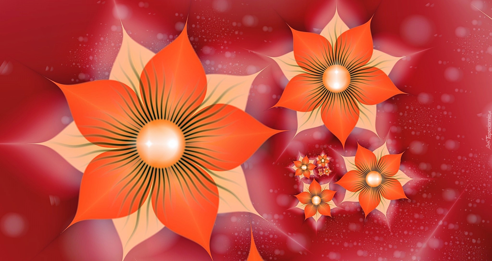 Pomarańczowe, Kwiaty, Grafika, 3D