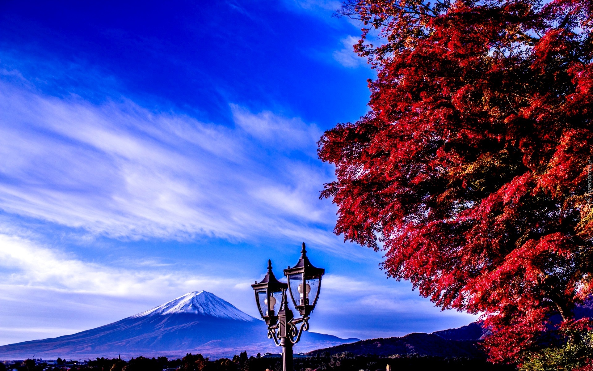 Góra, Fuji, Drzewo, Lampa, Japonia