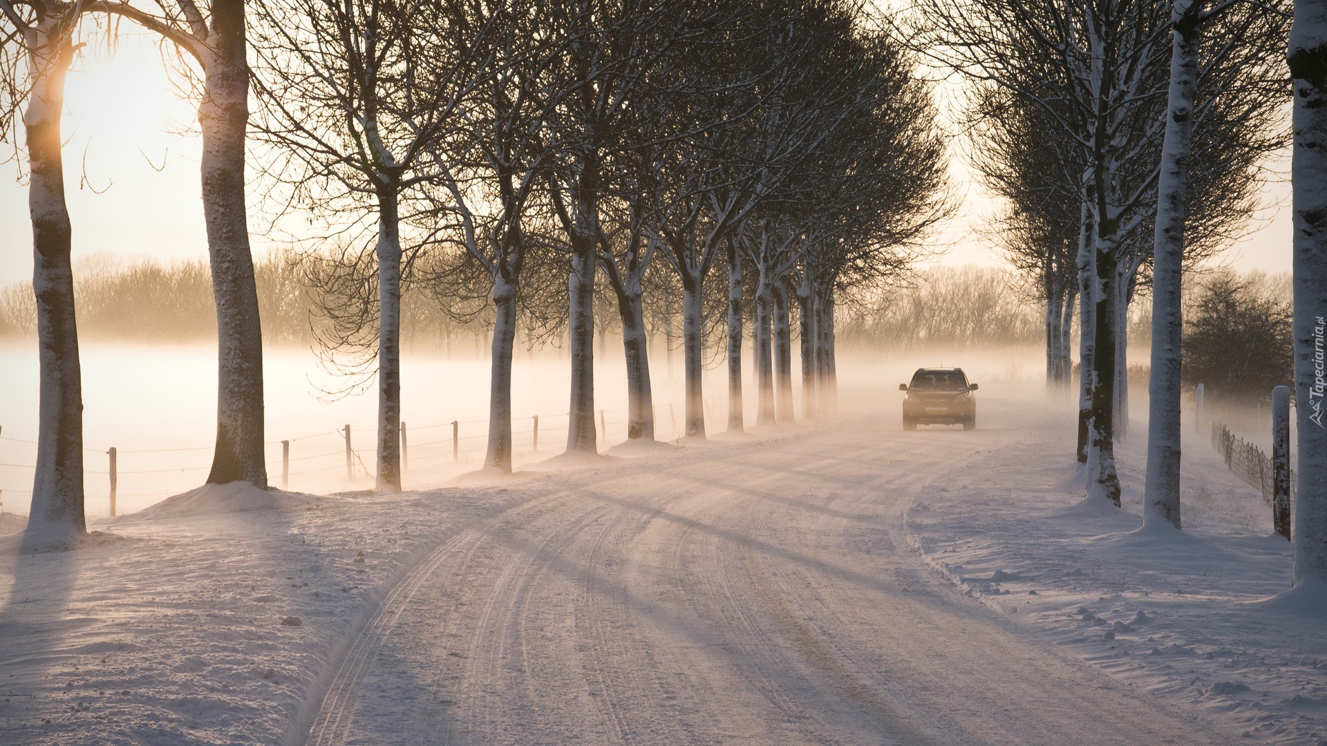 Zima, Śnieg, Droga, Drzewa, Samochód