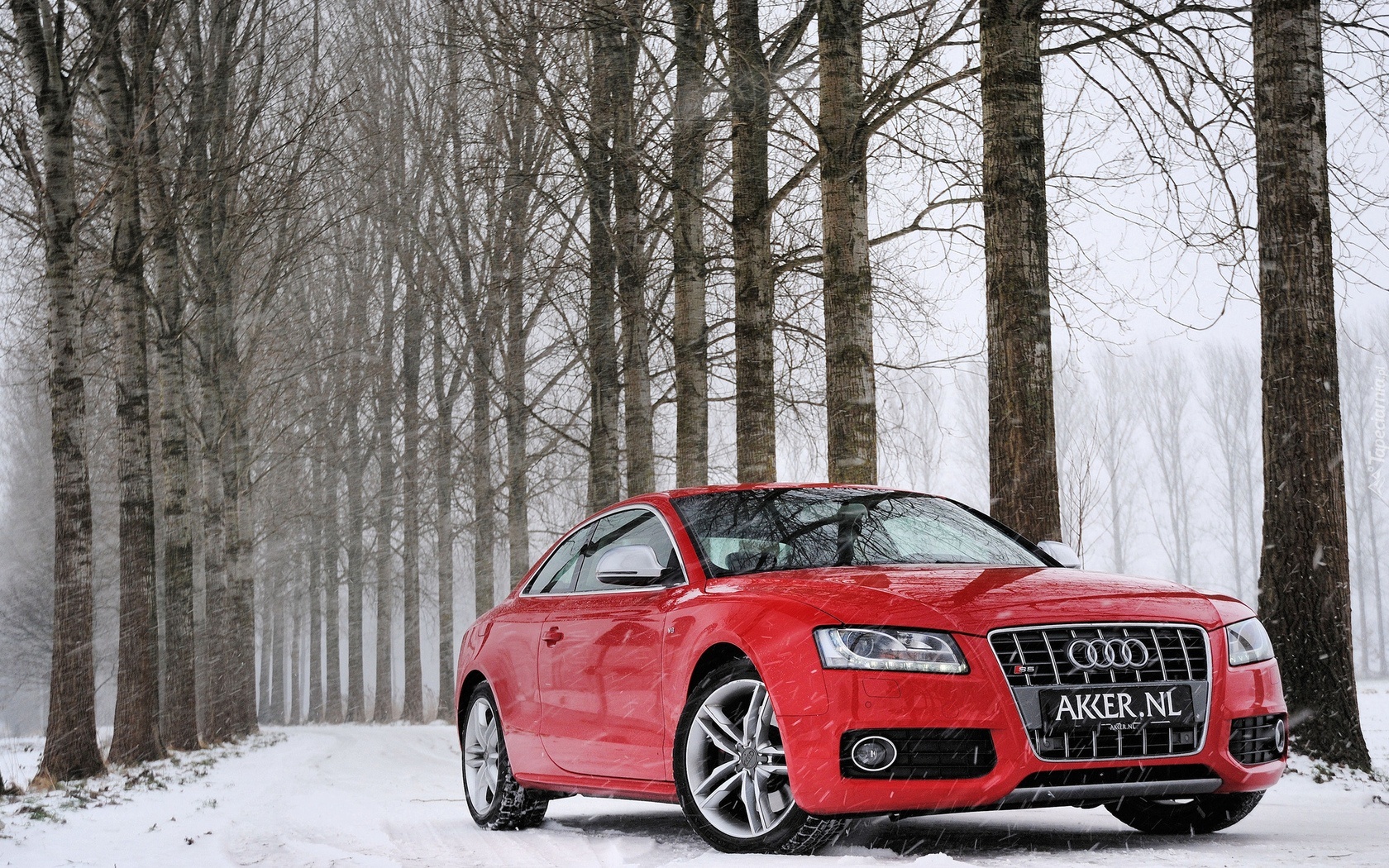 Czerwone, Audi S5, Las, Droga, Śnieg