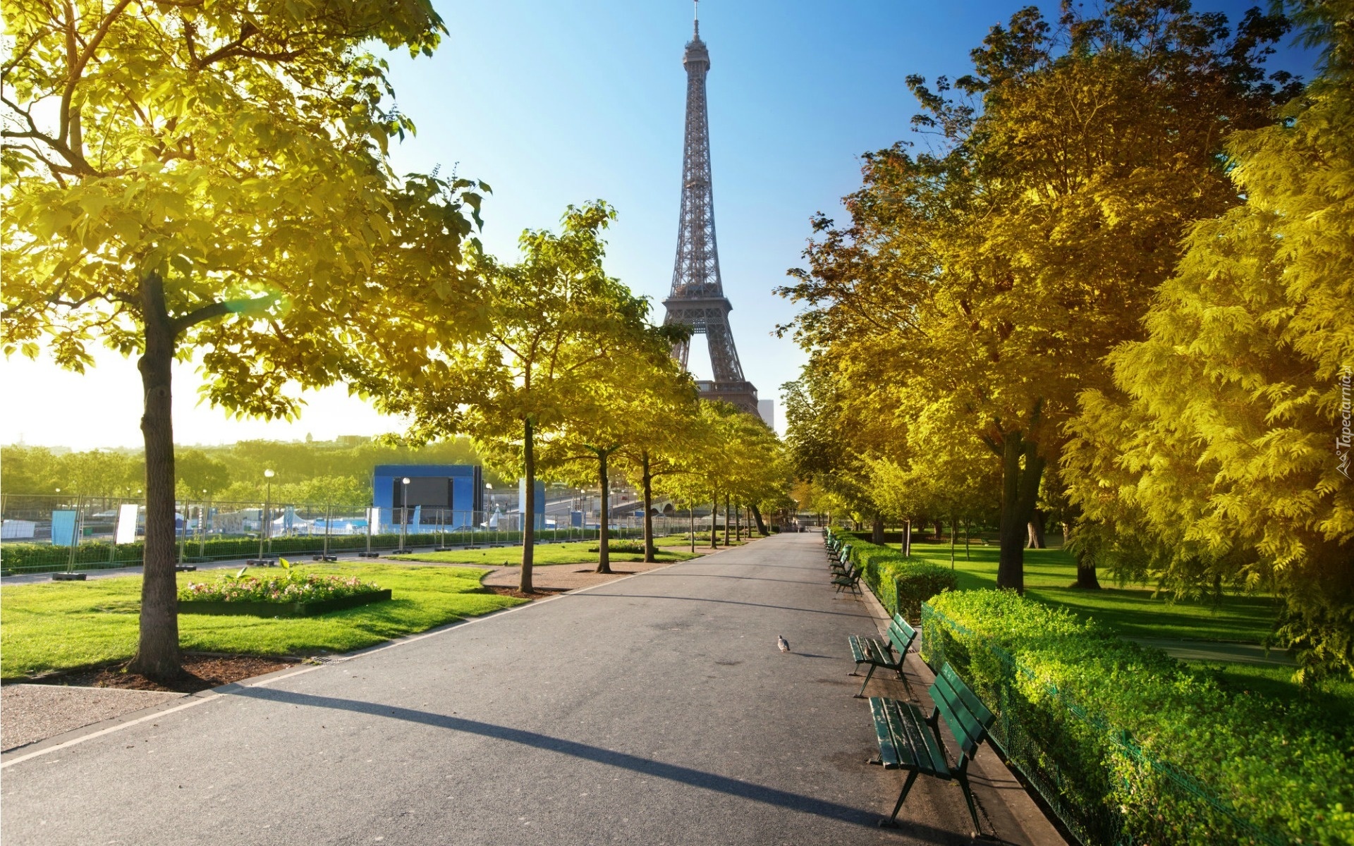 Park, Aleja, Ławki, Wieża Eiffla, Paryż, Jesień, Francja