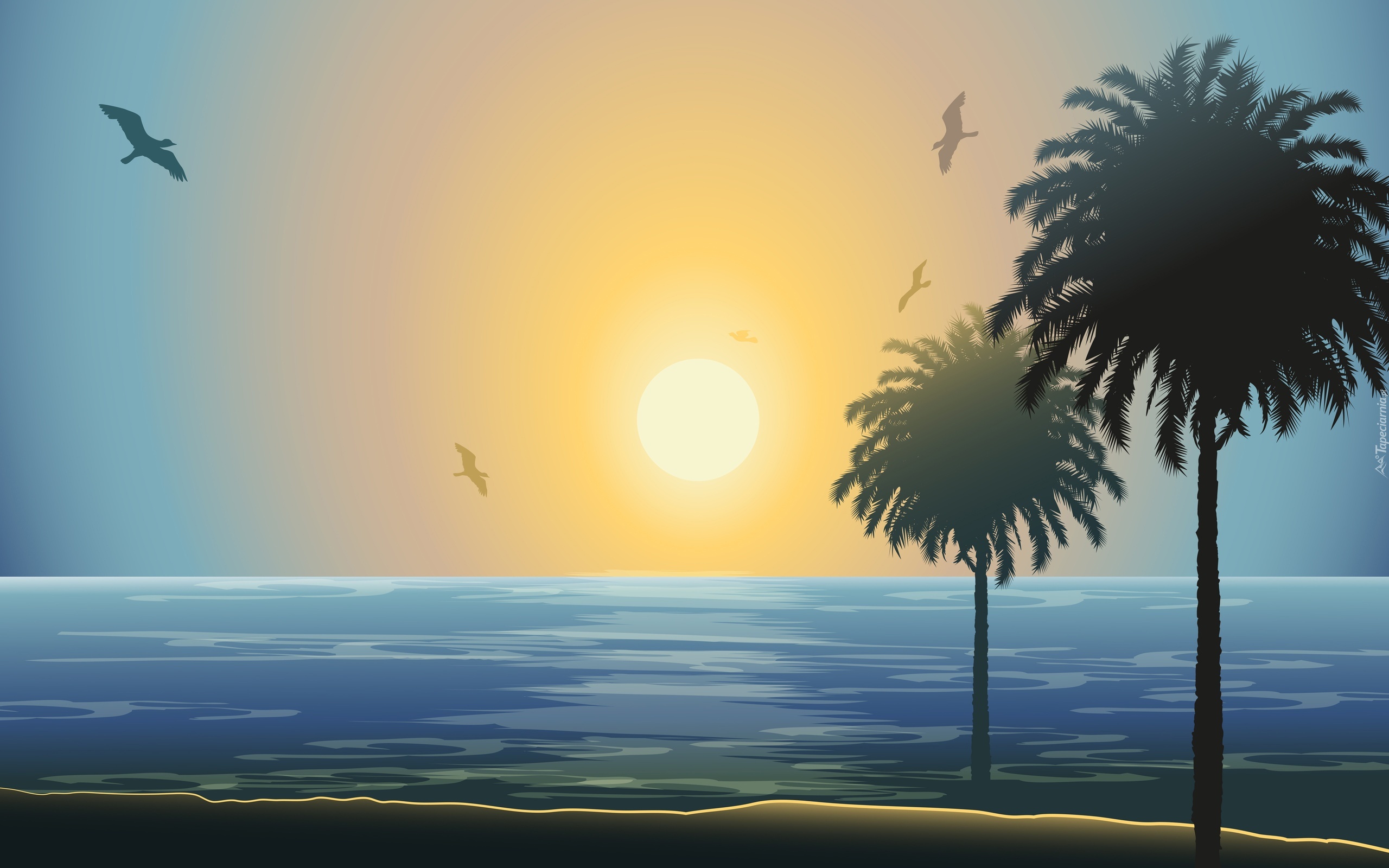 Morze, Plaża, Palmy, Ptaki, Zachód, Słońca, 2D