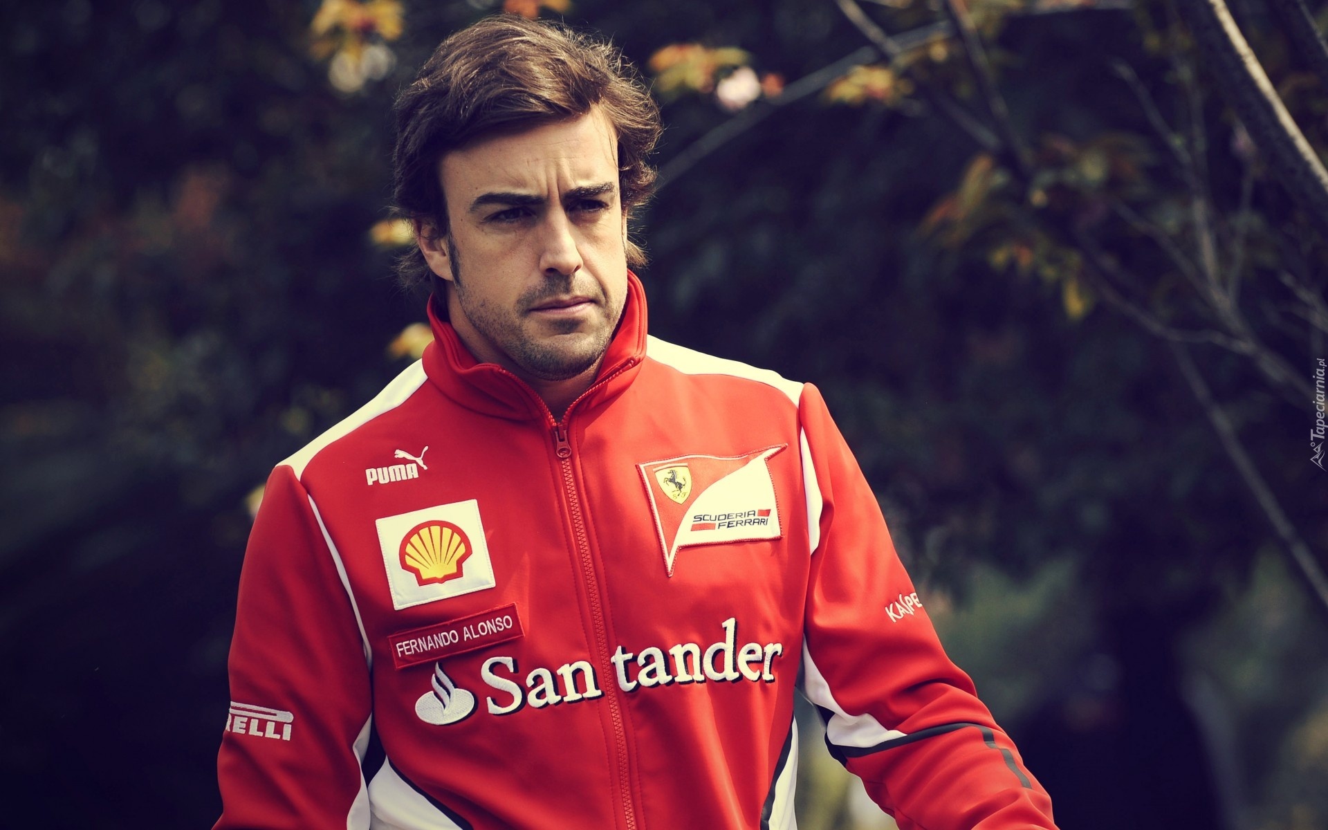 Fernando Alonso, Sportowa, Bluza