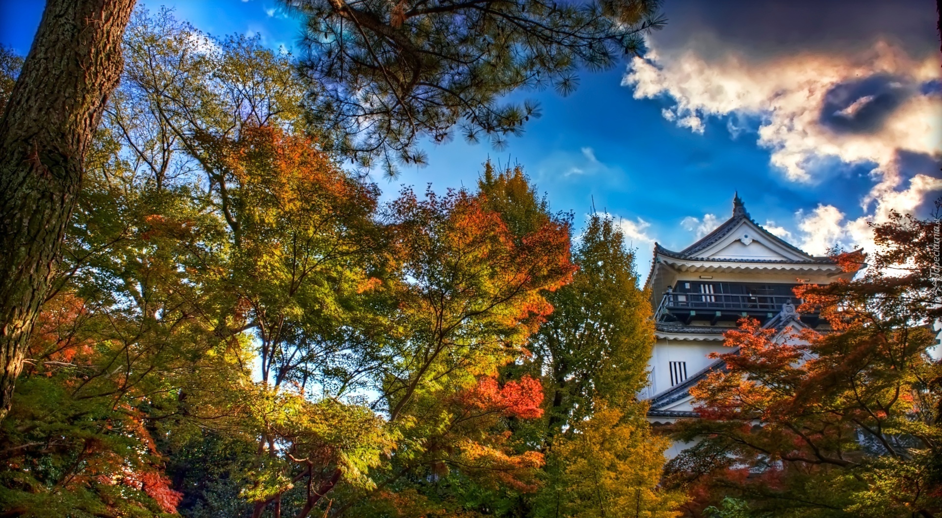 Zameczek, Jesień, Japonia
