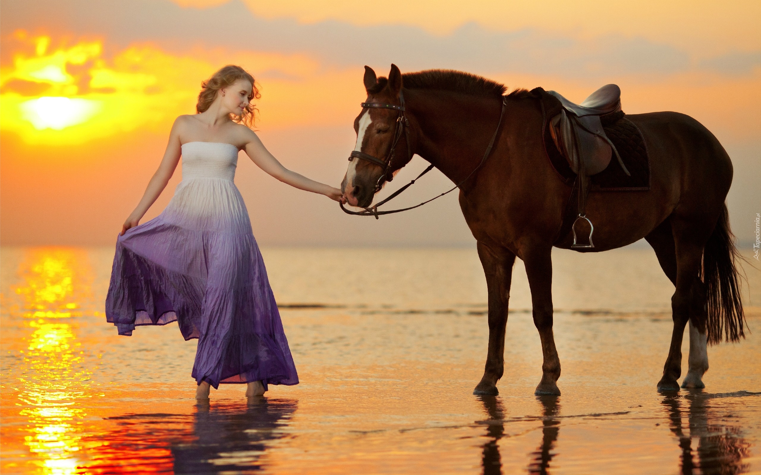 Kobieta, Sukienka, Koń, Morze, Zachód, Słońca