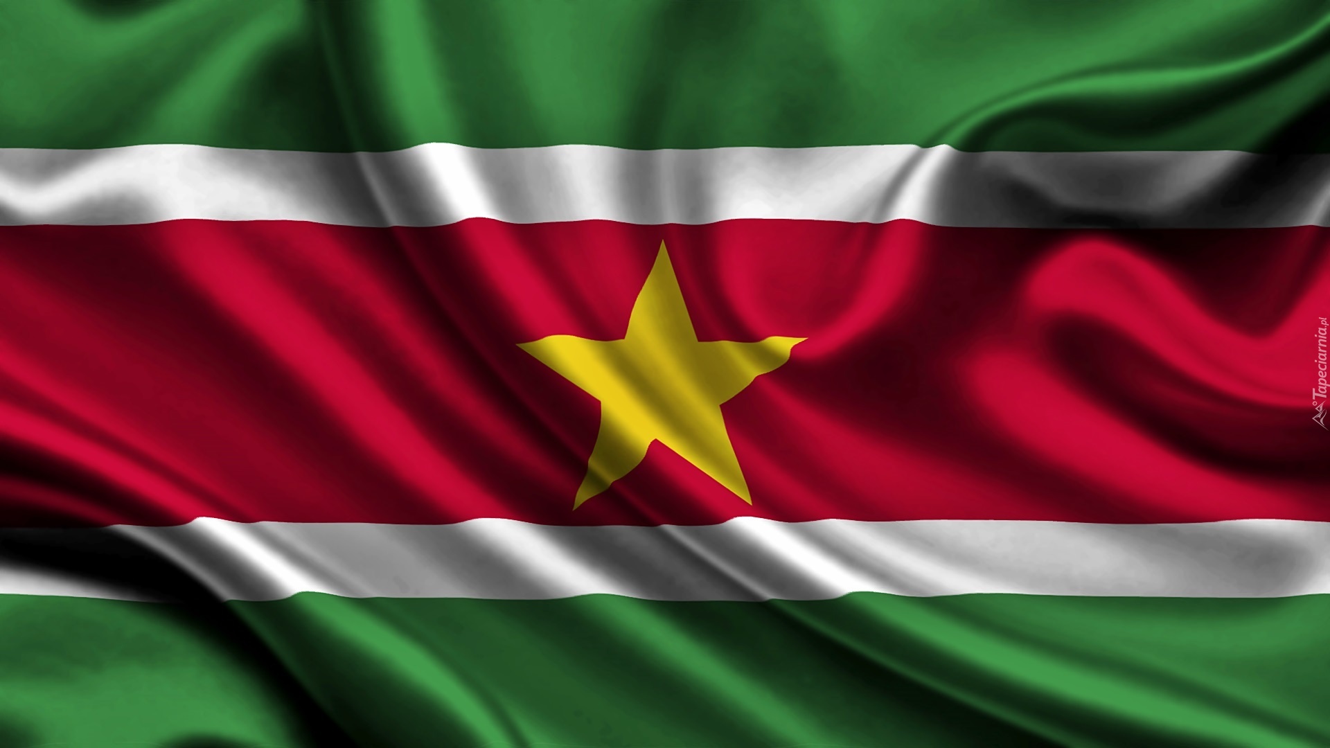 Flaga, Surinamu