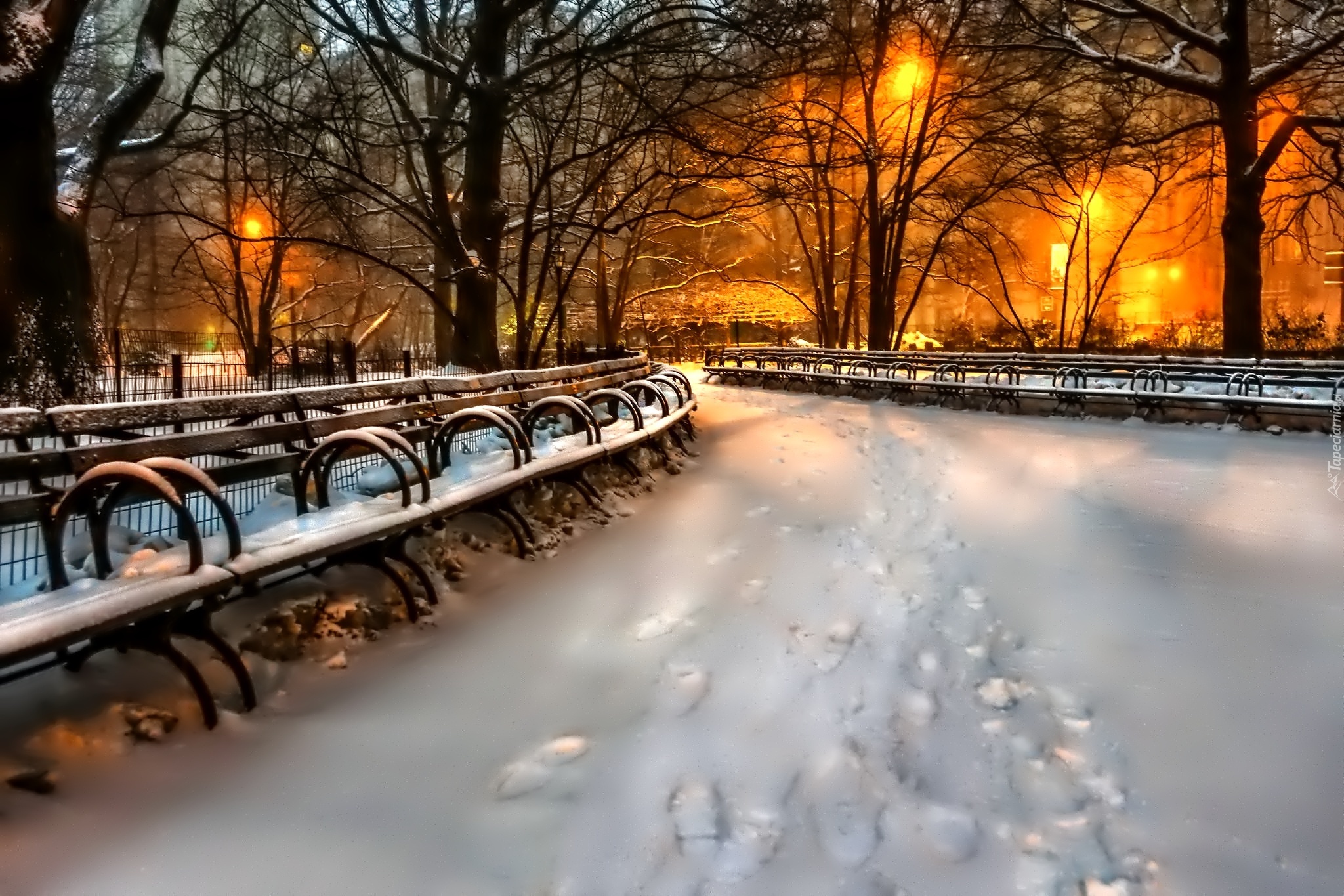 Park, Alejka, Śnieg, Oświetlenie