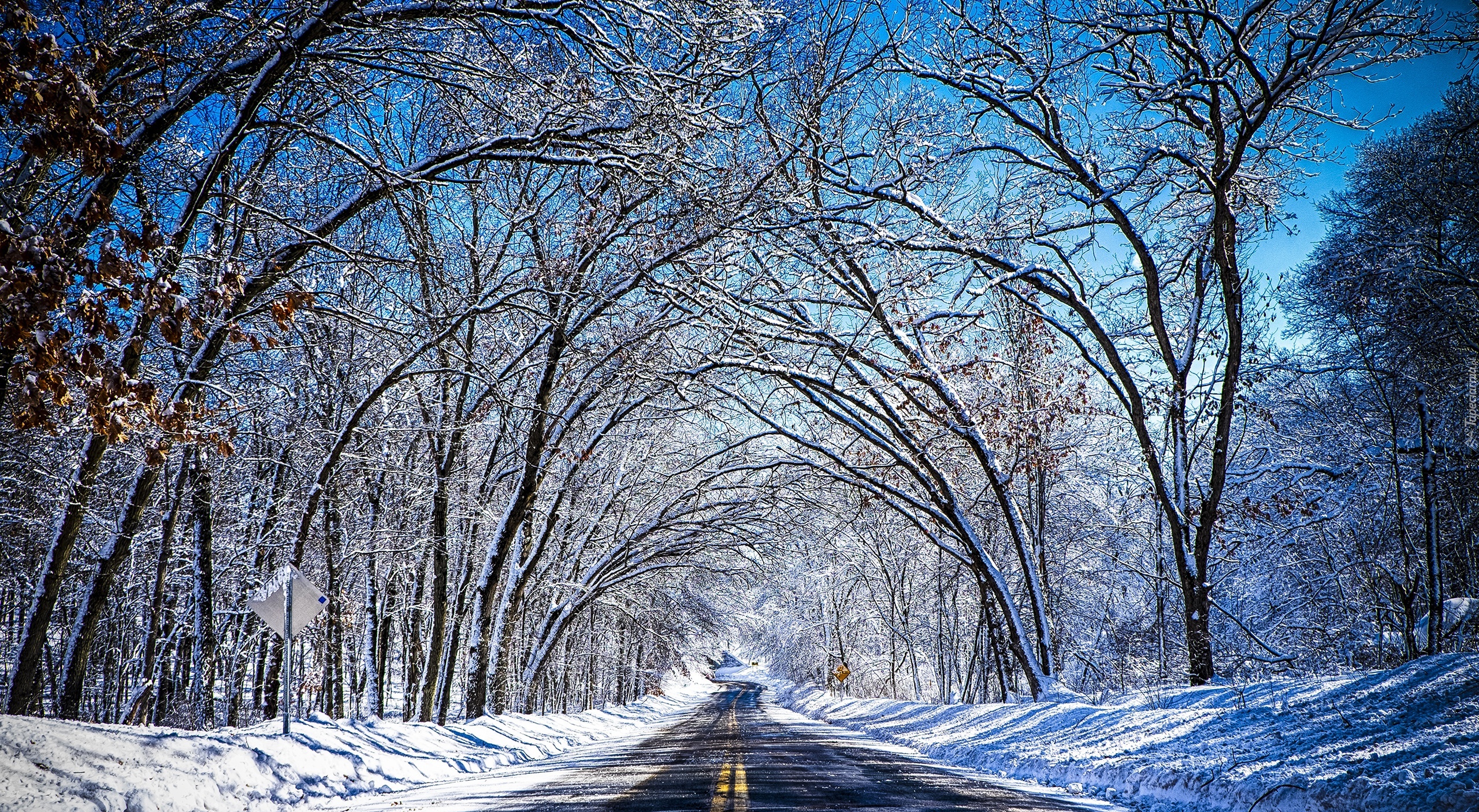 Droga, Zima, Śnieg, Drzewa