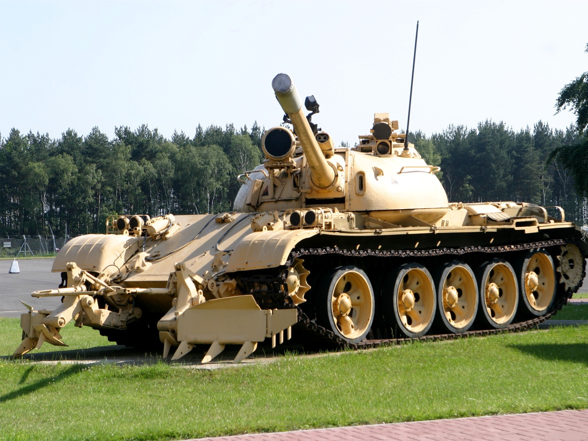 Czołg, T-55, Drzewa, Trawa
