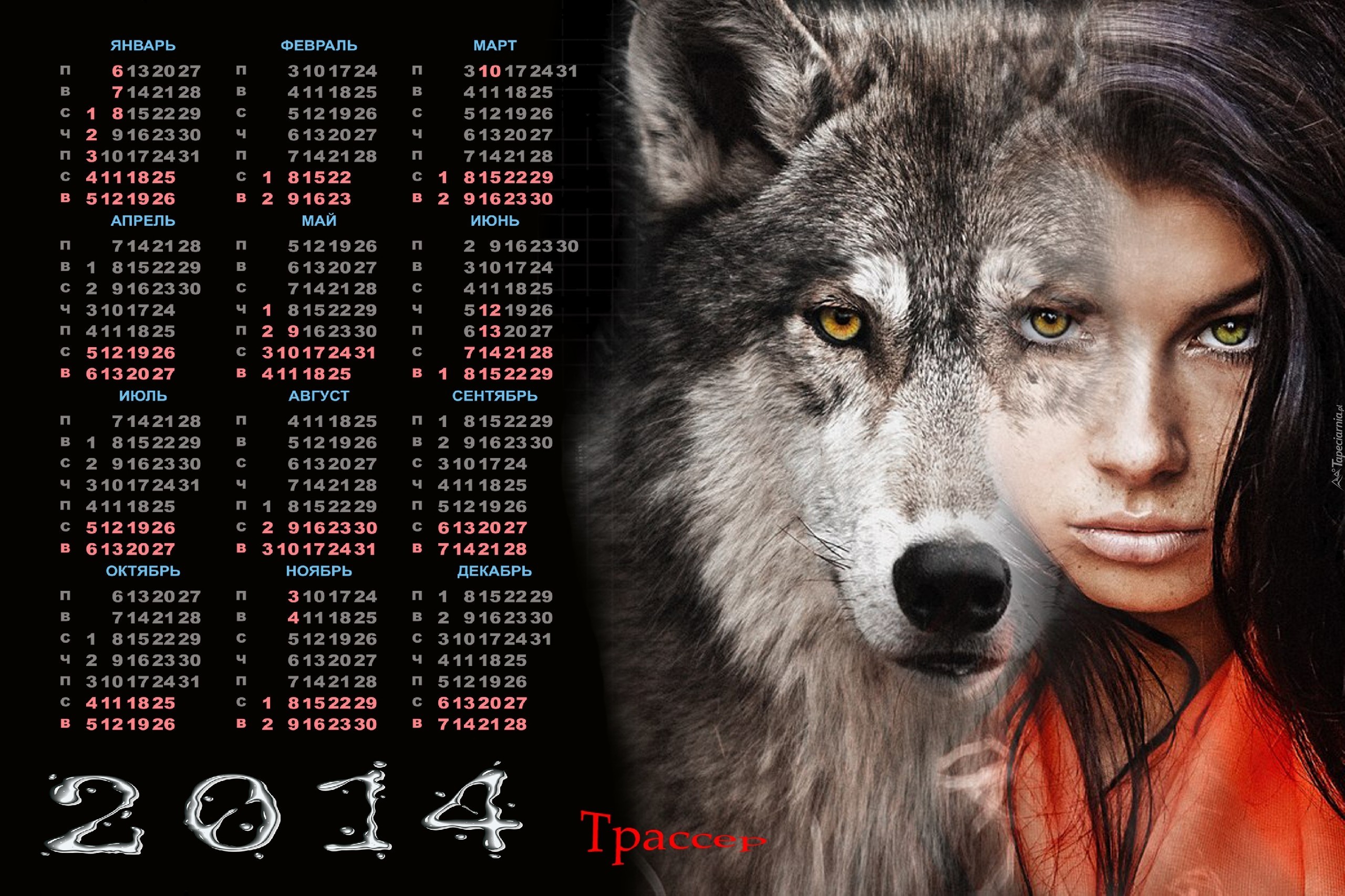 Kalendarz, 2014, Głowa, Psa, Twarz, kobiety
