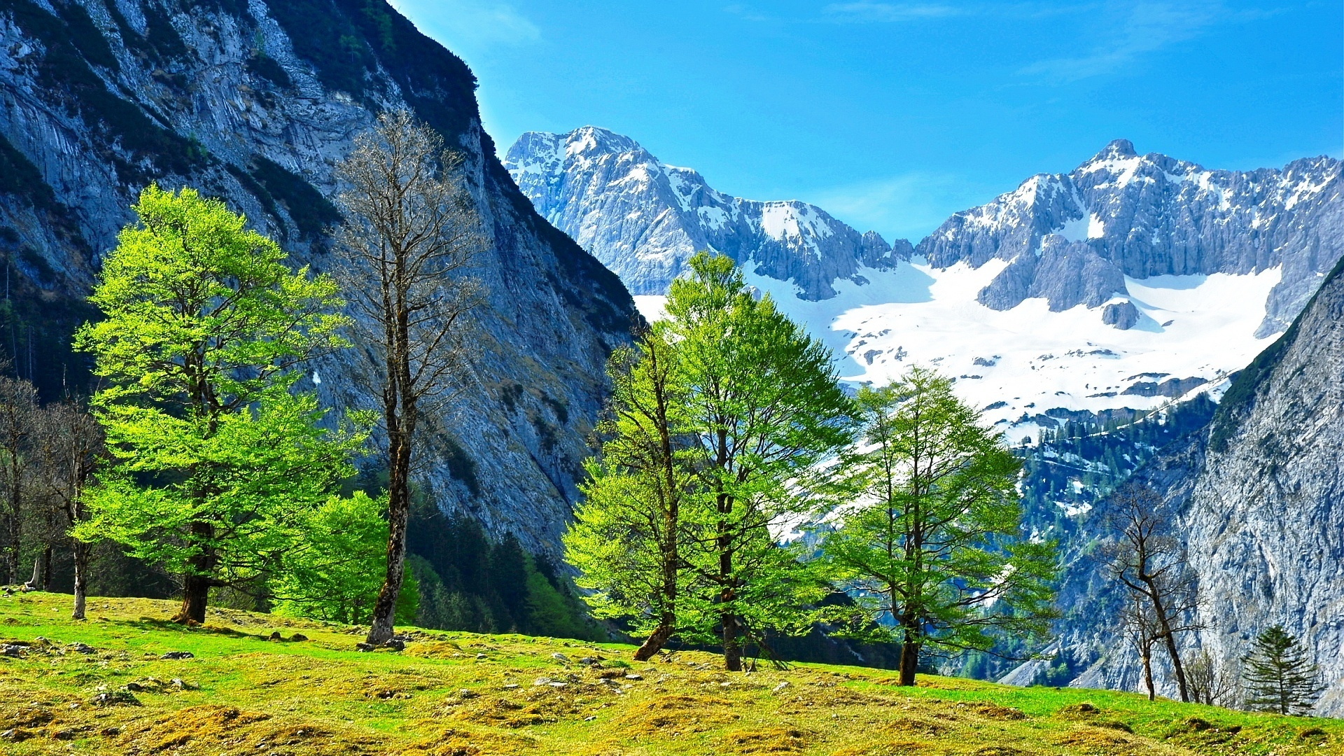 Góry, Śnieg, Drzewa, Alpy, Austria