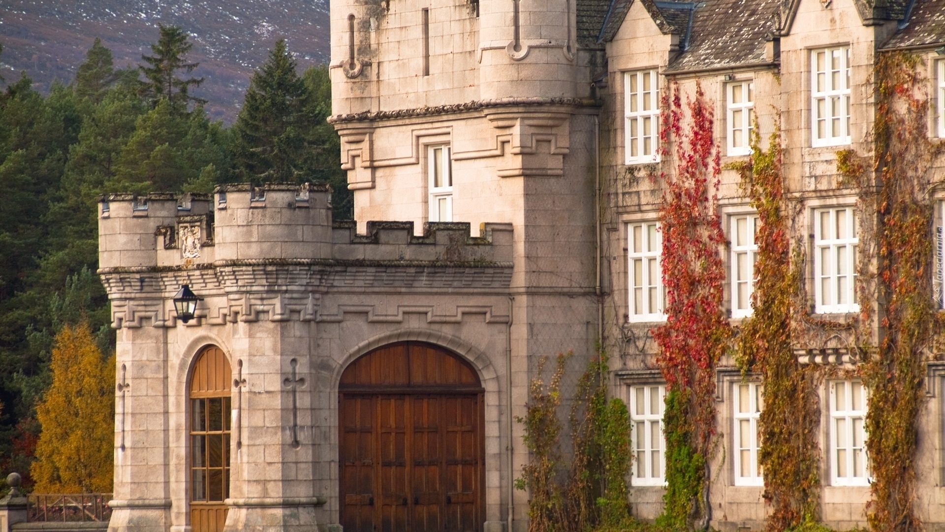 Zamek w Balmoral, Balmoral Castle, Szkocja, Bluszcz
