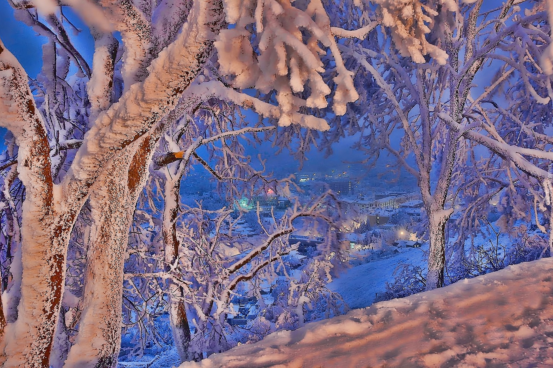 Zima, Śnieg, Miasteczko, Drzewa