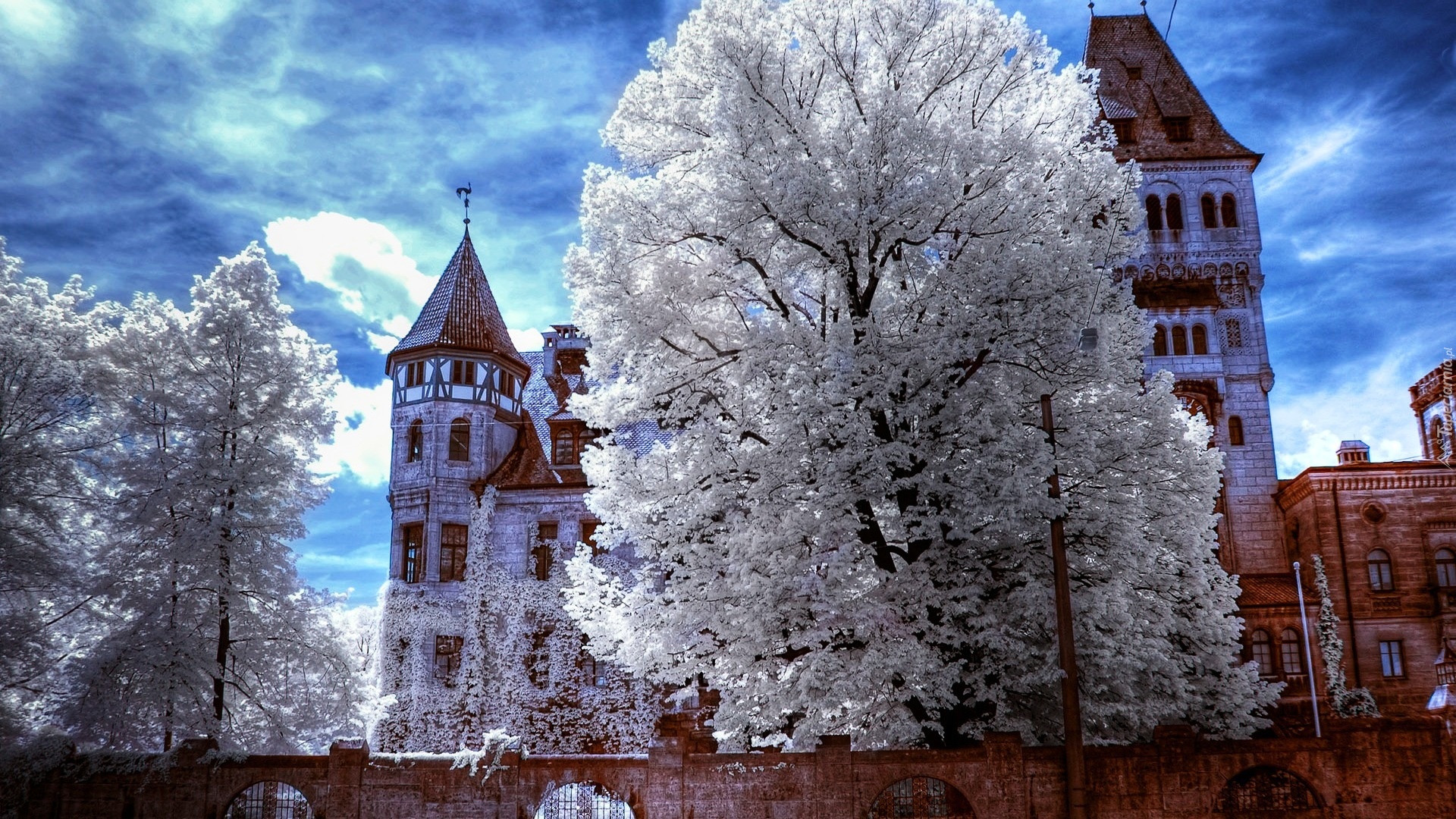 Zamek w Branie, Castelul Bran, Miejscowość Bran, Siedmiogród, Rumunia